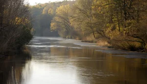 What It's Like Living in Mayodan, NC: Homes, Lifestyle &amp; What to Expect