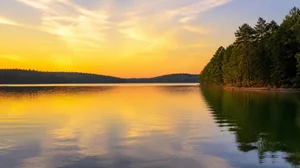 What It's Like Living in Reidsville, NC: Homes, Lifestyle &amp; What to Expect