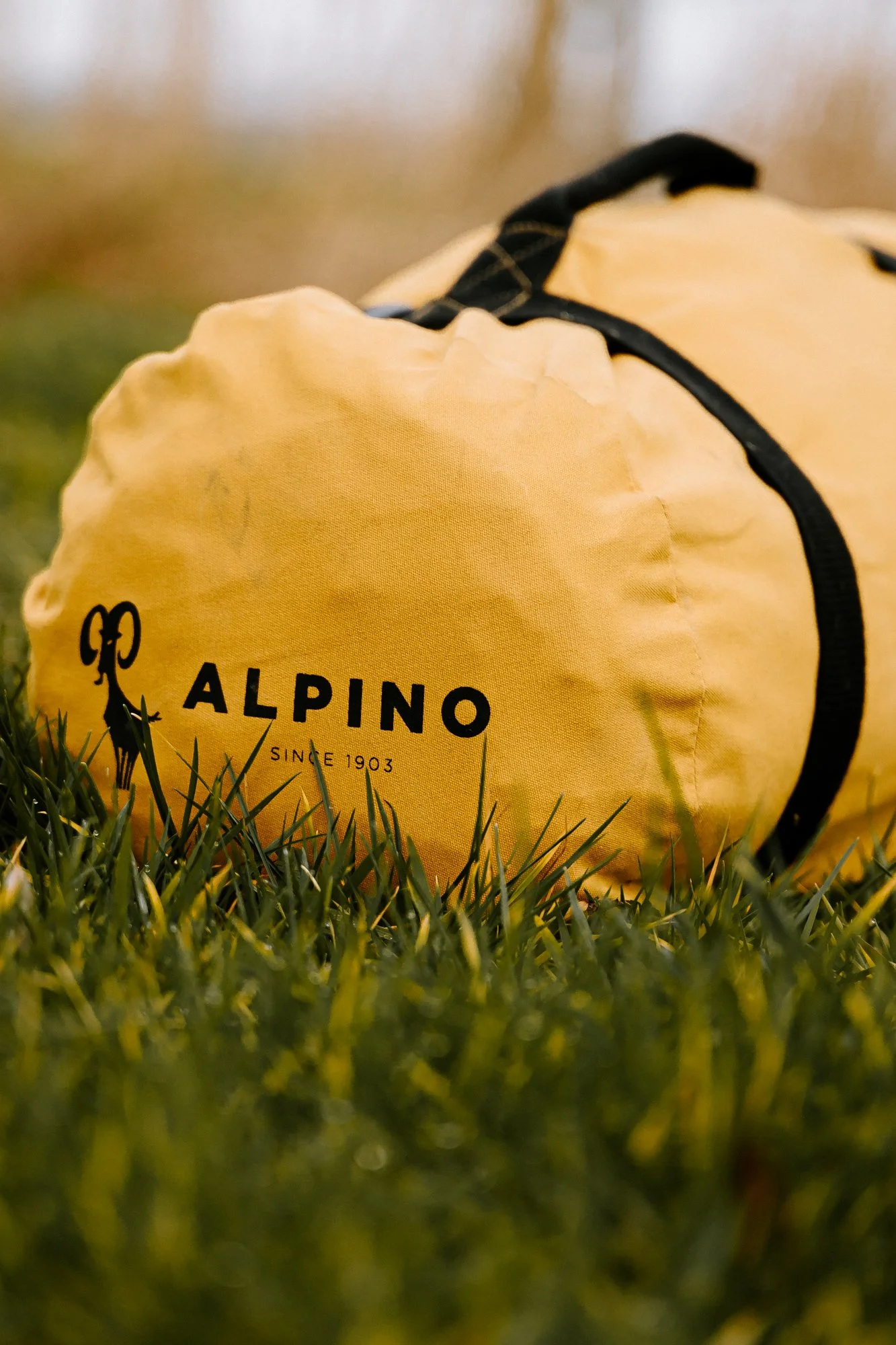 Een gele rugzak met het logo en de tekst 'ALPINO SINCE 1903' ligt op gras.