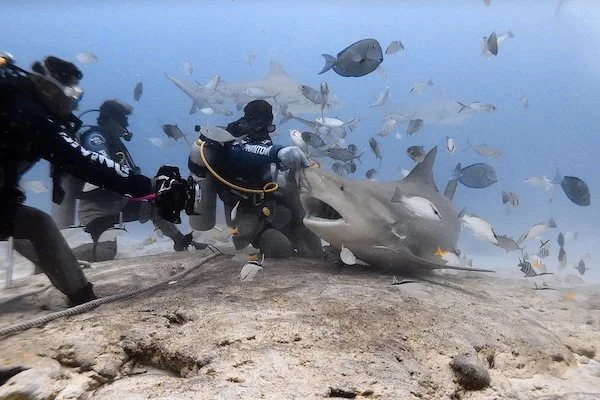 Action on the Sand – Playa del Carmen (Nov 2022)