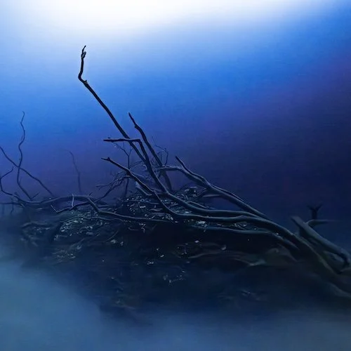 Branches in the Cloud