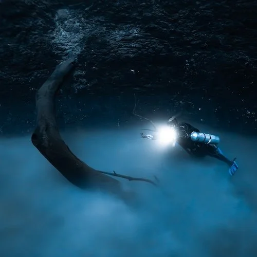 Approaching the Trunk