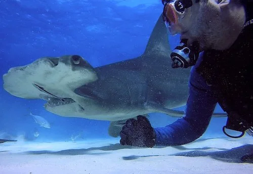 Underwater self-portrait with a great hammerhead shark, captured by Camera and a Shark to highlight the connection between humans and marine life.
