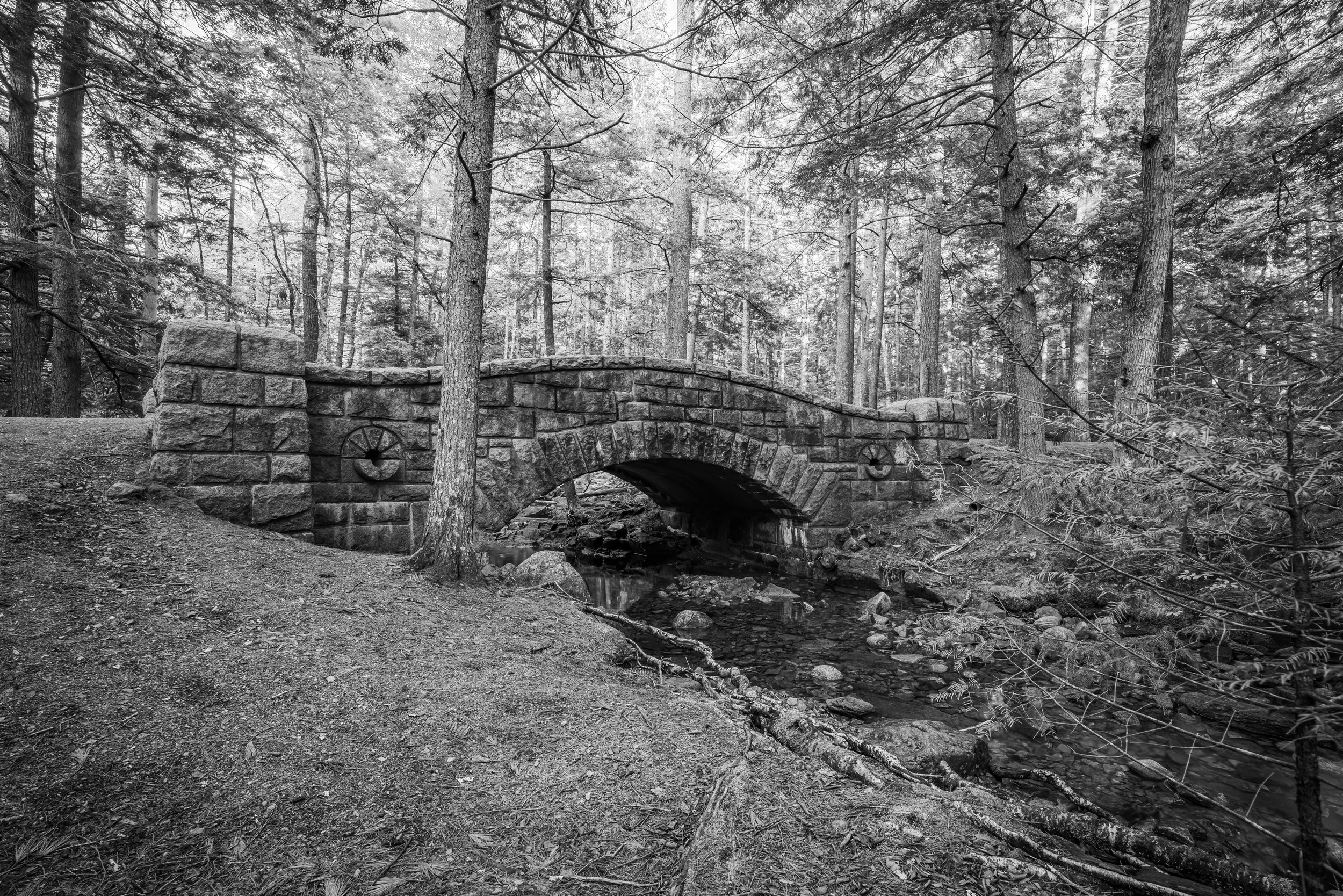 ScenicMainePhotography-6.jpg