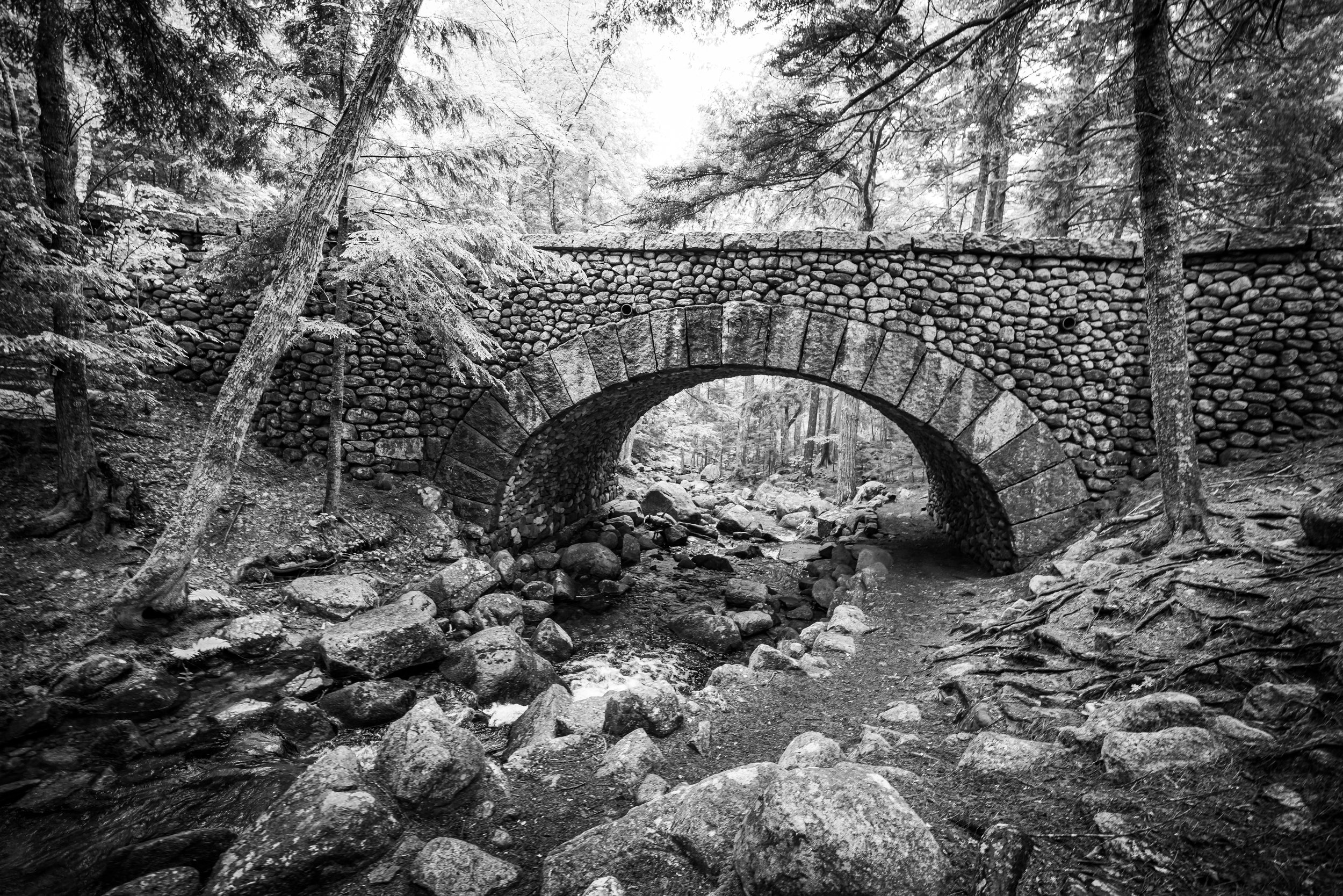 ScenicMainePhotography-3.jpg