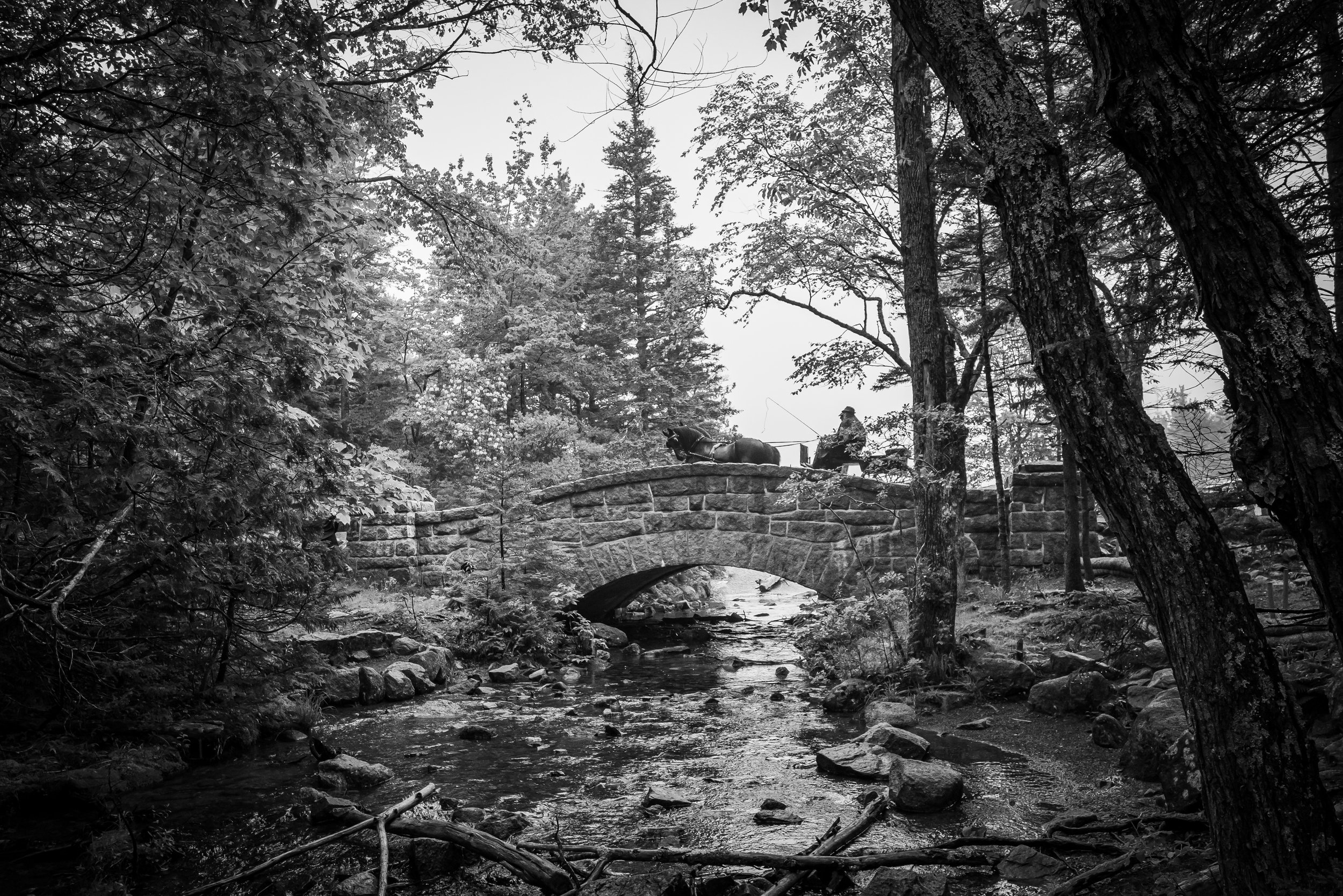 ScenicMainePhotography-2.jpg