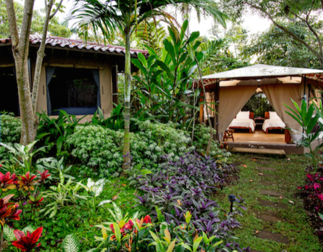Tentalow - Hybrid Tent-Bungalows Pura Vida Retreat & Spa.png