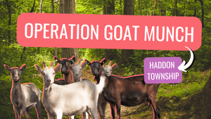 Operation: Goat Munch 🐐 Clearing Up Saddler’s Woods