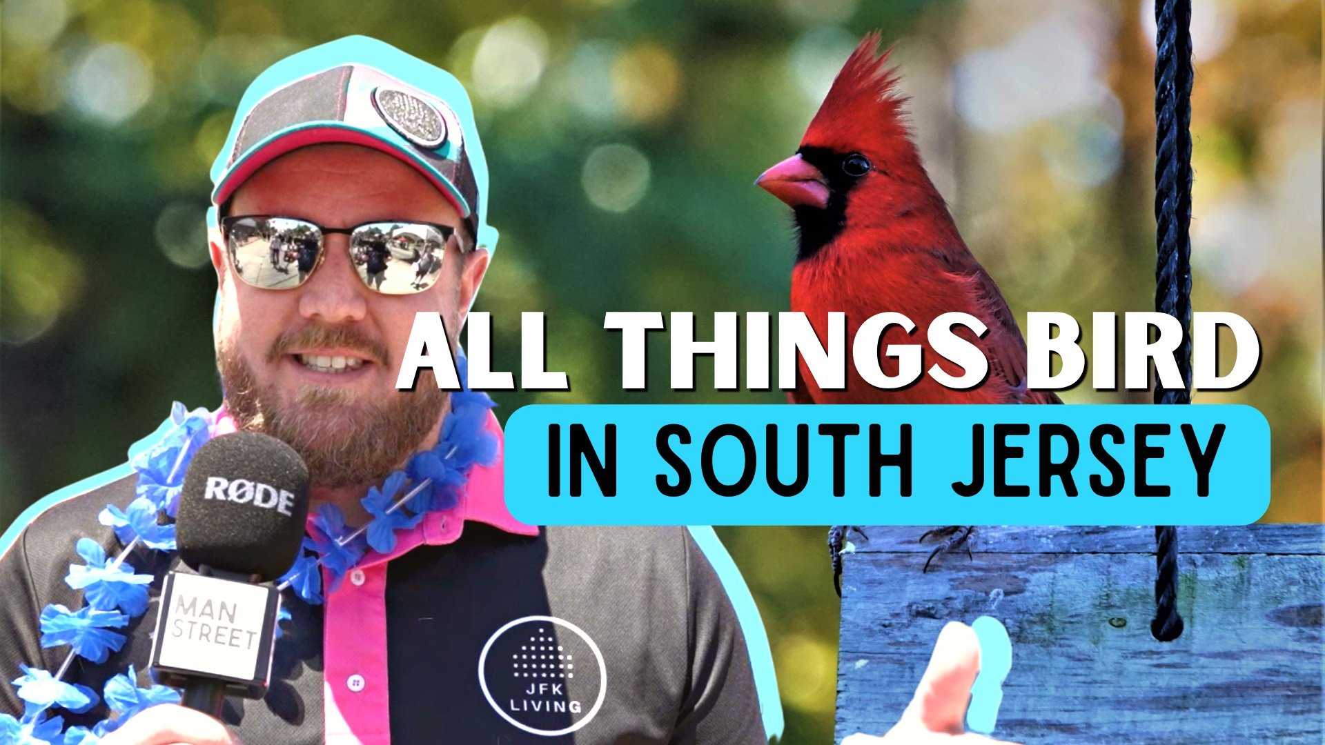 🐧 Did You Know South Jersey's Best Bird Store Is In Collingswood?