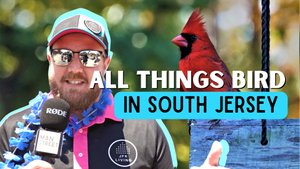🐧 Did You Know South Jersey's Best Bird Store Is In Collingswood?