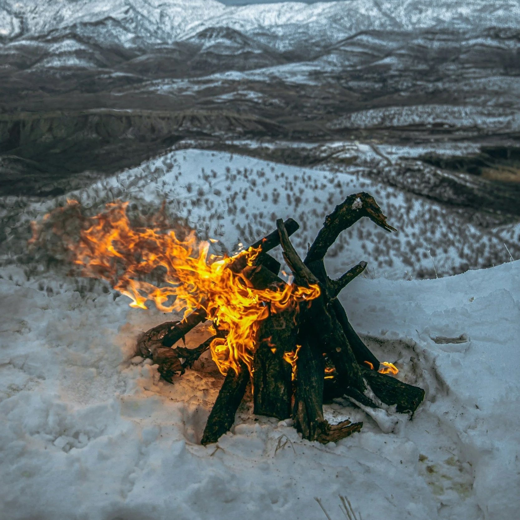 When Sagittarius Meets Capricorn: Magic at the Crossroads of Yule