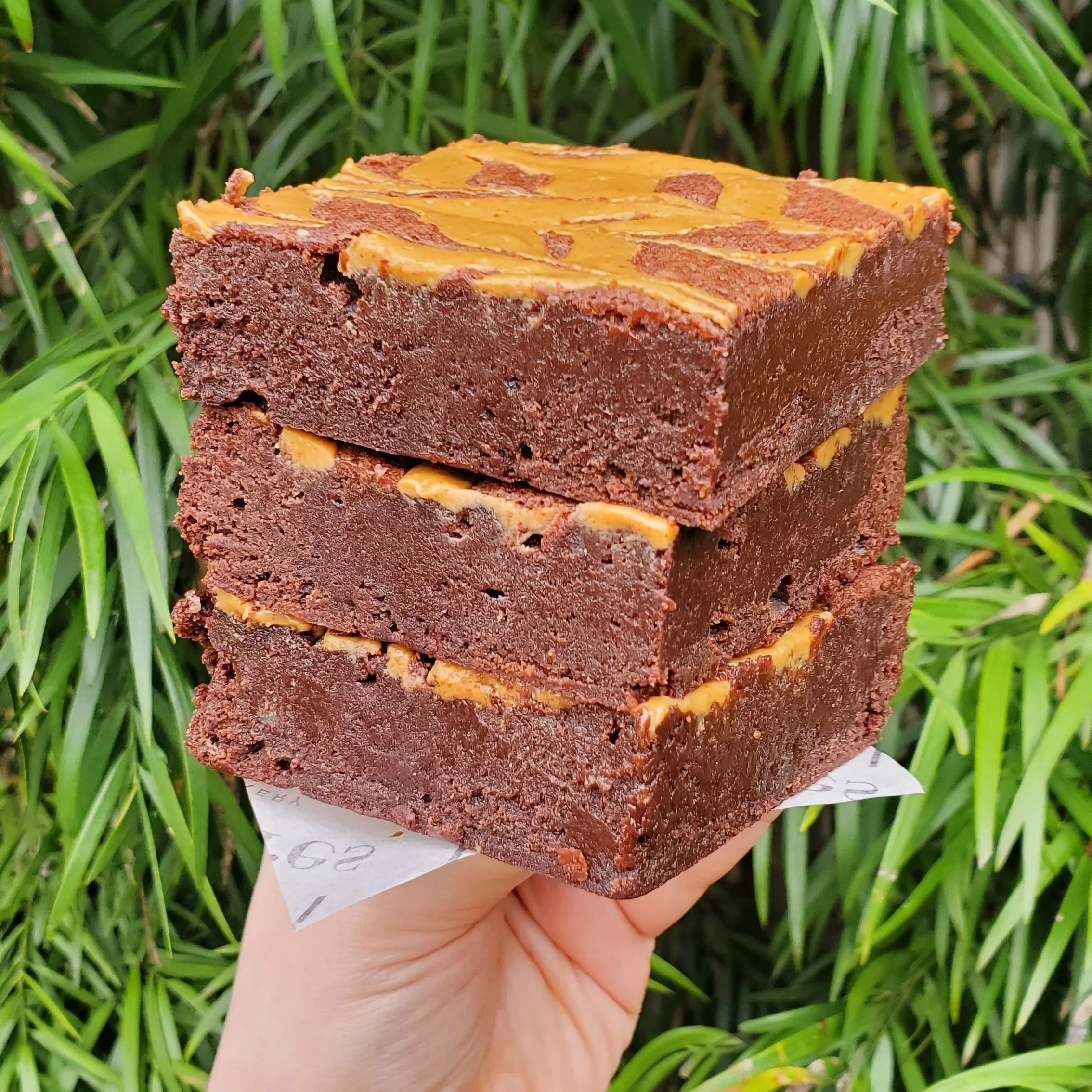 peanut butter swirl brownies