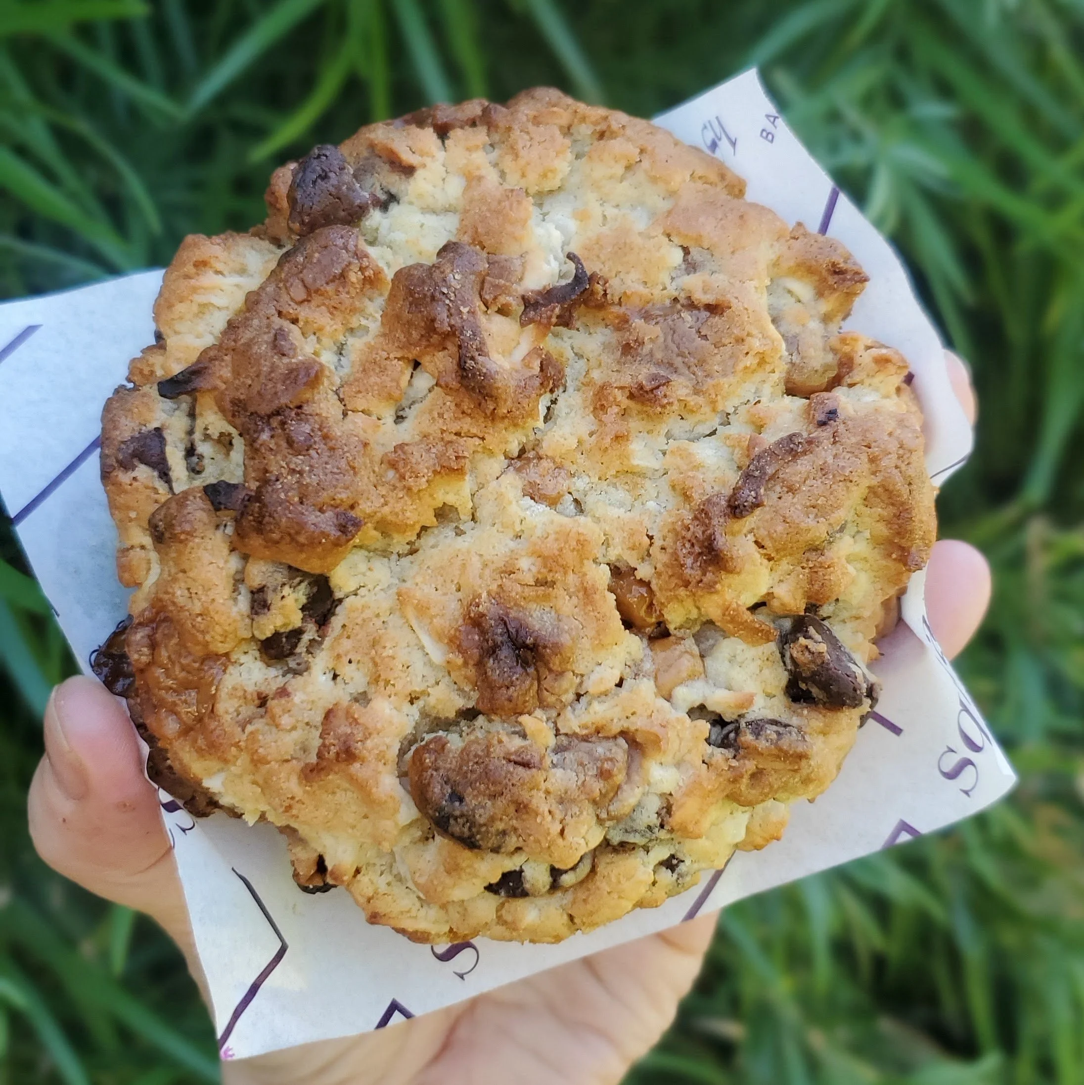 chocolate chunk walnut bakery levain cookie