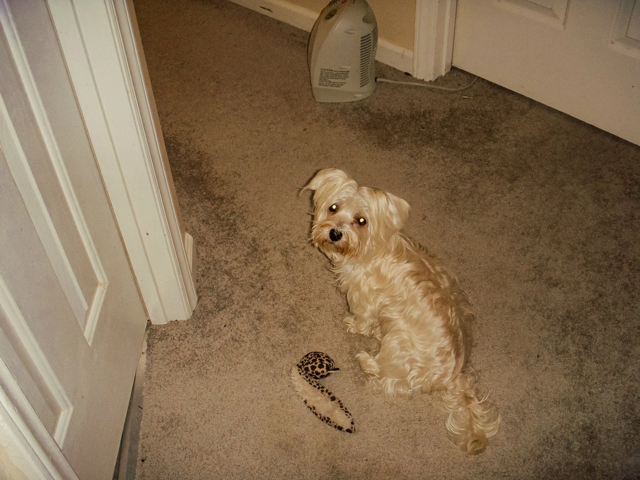 DSCN0661.jpg