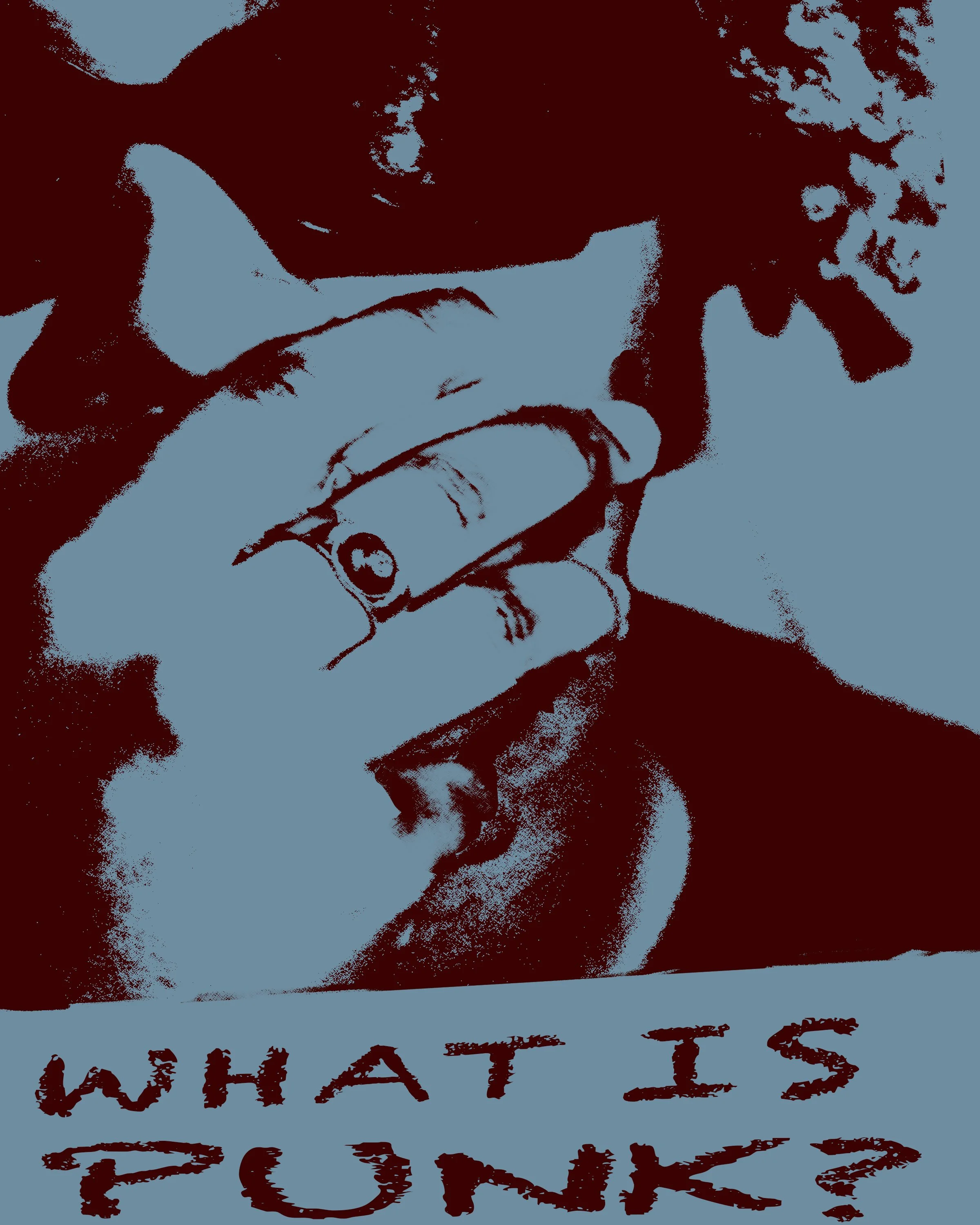 meech punk pic _1.jpg