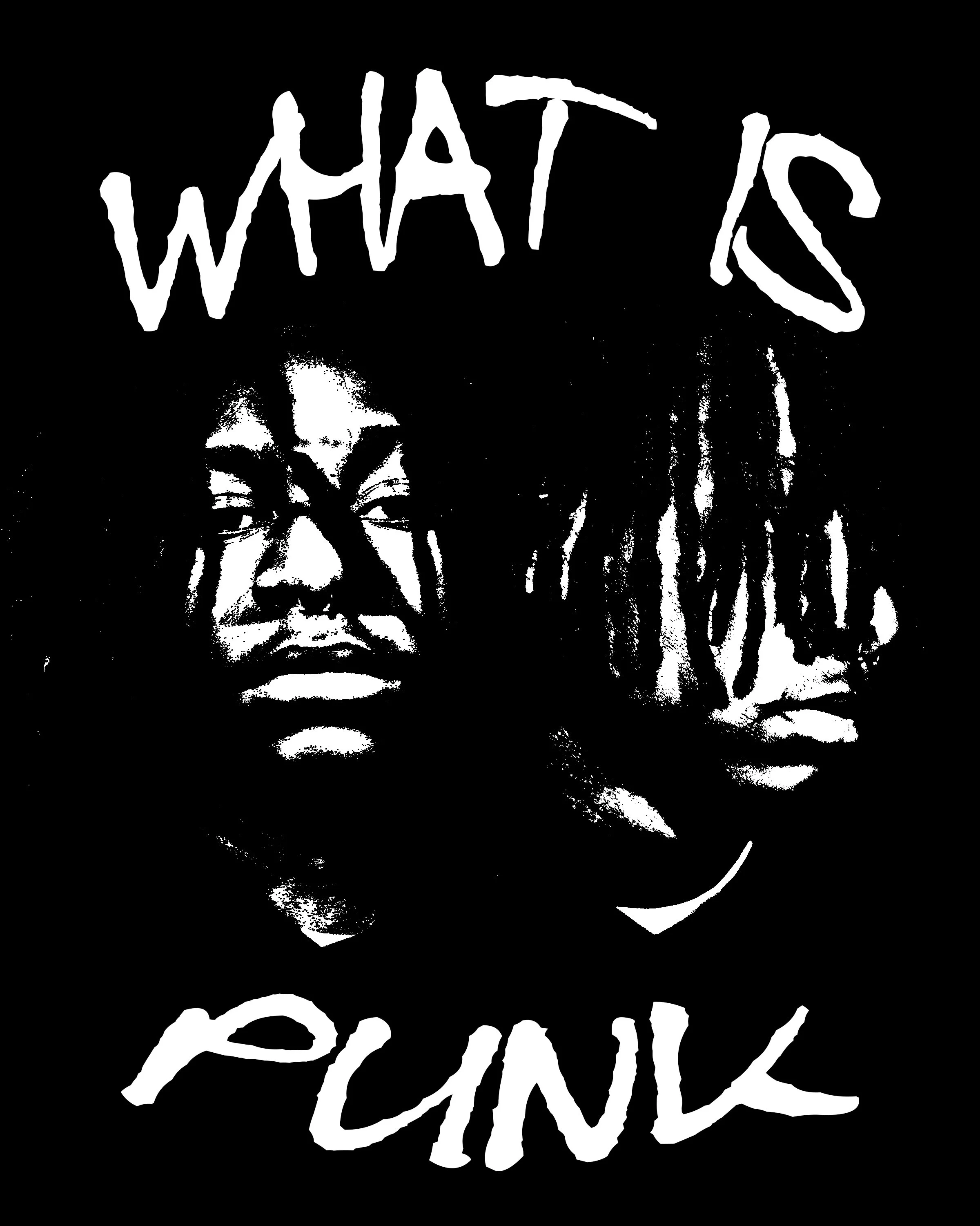 what is punk graphic _4.jpg