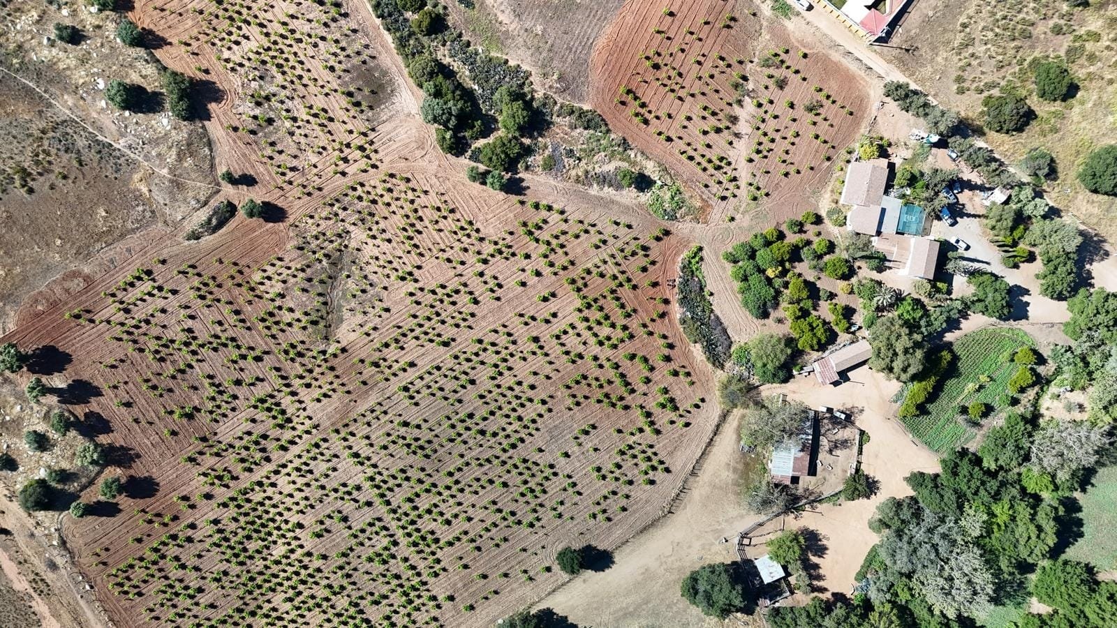 ARACLES DEL NOROESTE