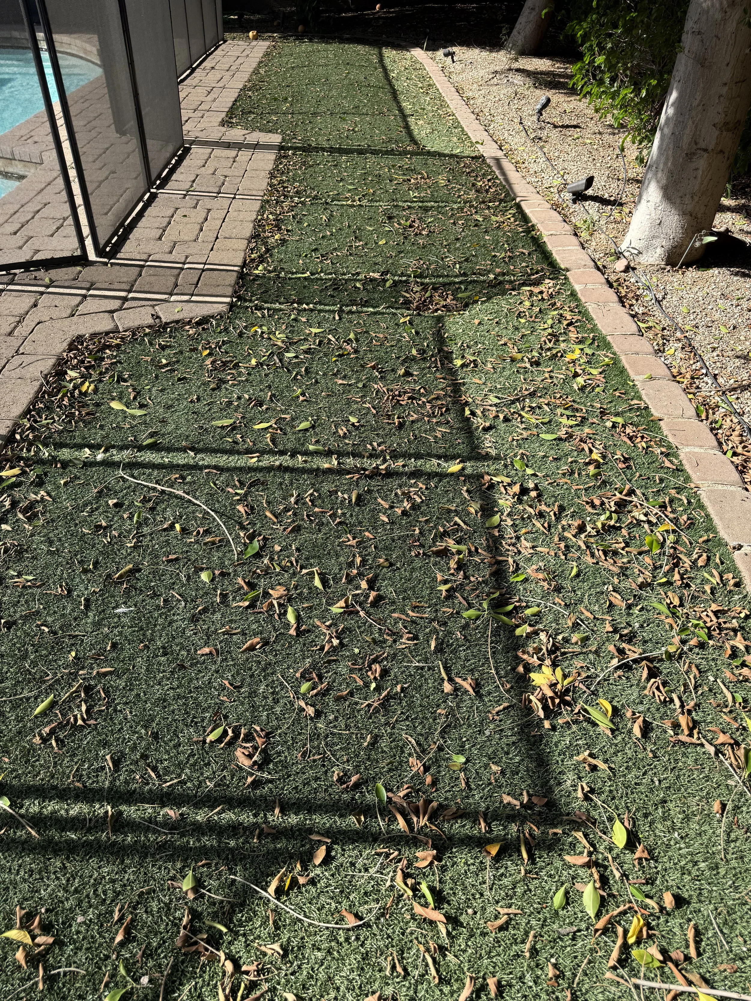 Backyard patio with artificial grass, brick walkway, fallen leaves, a tree, and landscape lighting.
