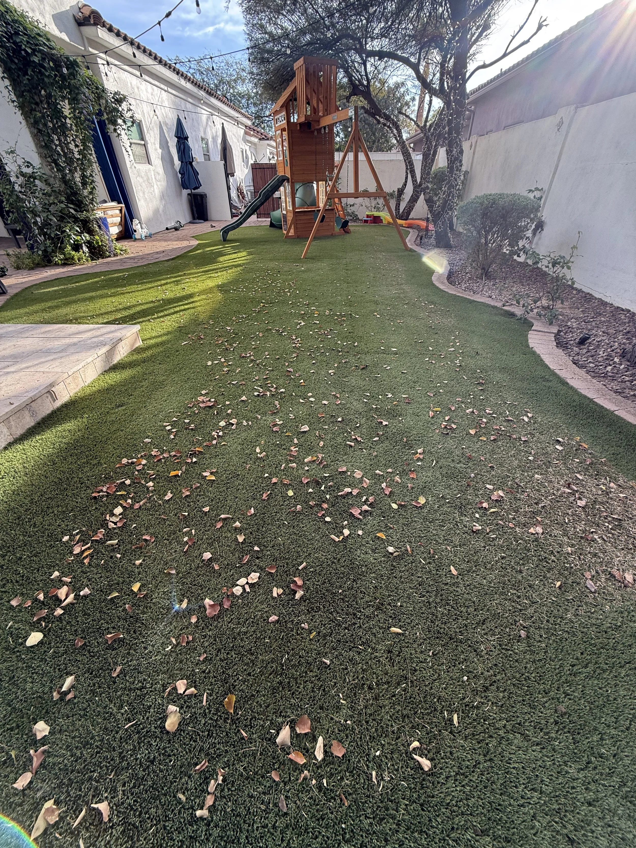 Kiwi Turf Cleaners, Clean turf, before and after, best turf cleaners in arizona, gilbert, scottsdale, fresh turf, odor removal, fluff, refluff, refresh, turf cleaning near me, tempe, mesa, affordable, best, five star, highly rated. 