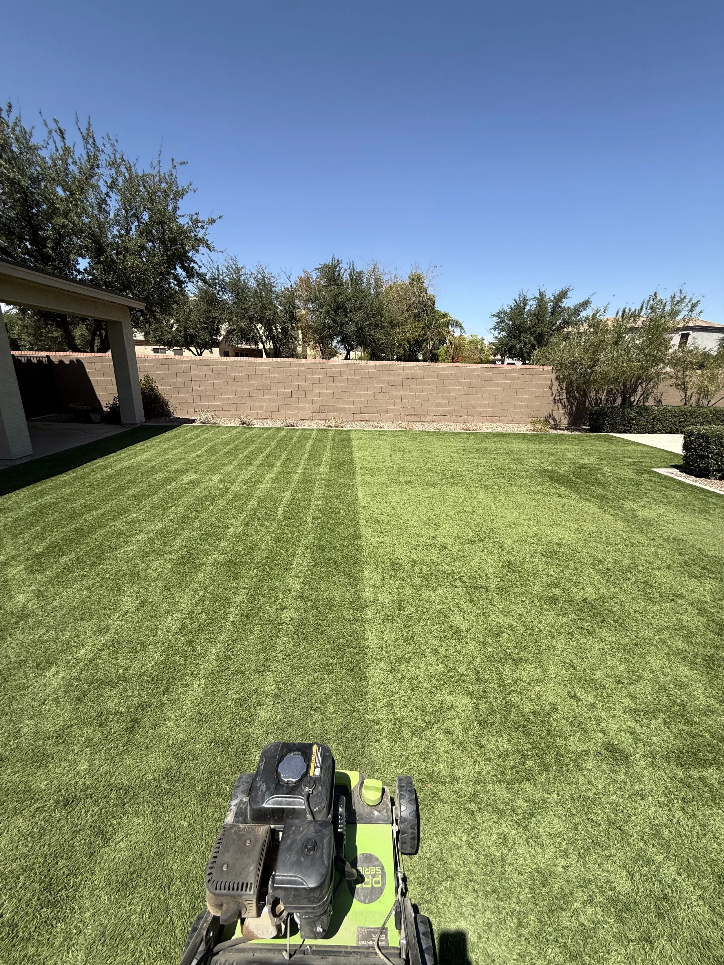 Backyard with green grass, trees, a stone wall, and a clear blue sky.
