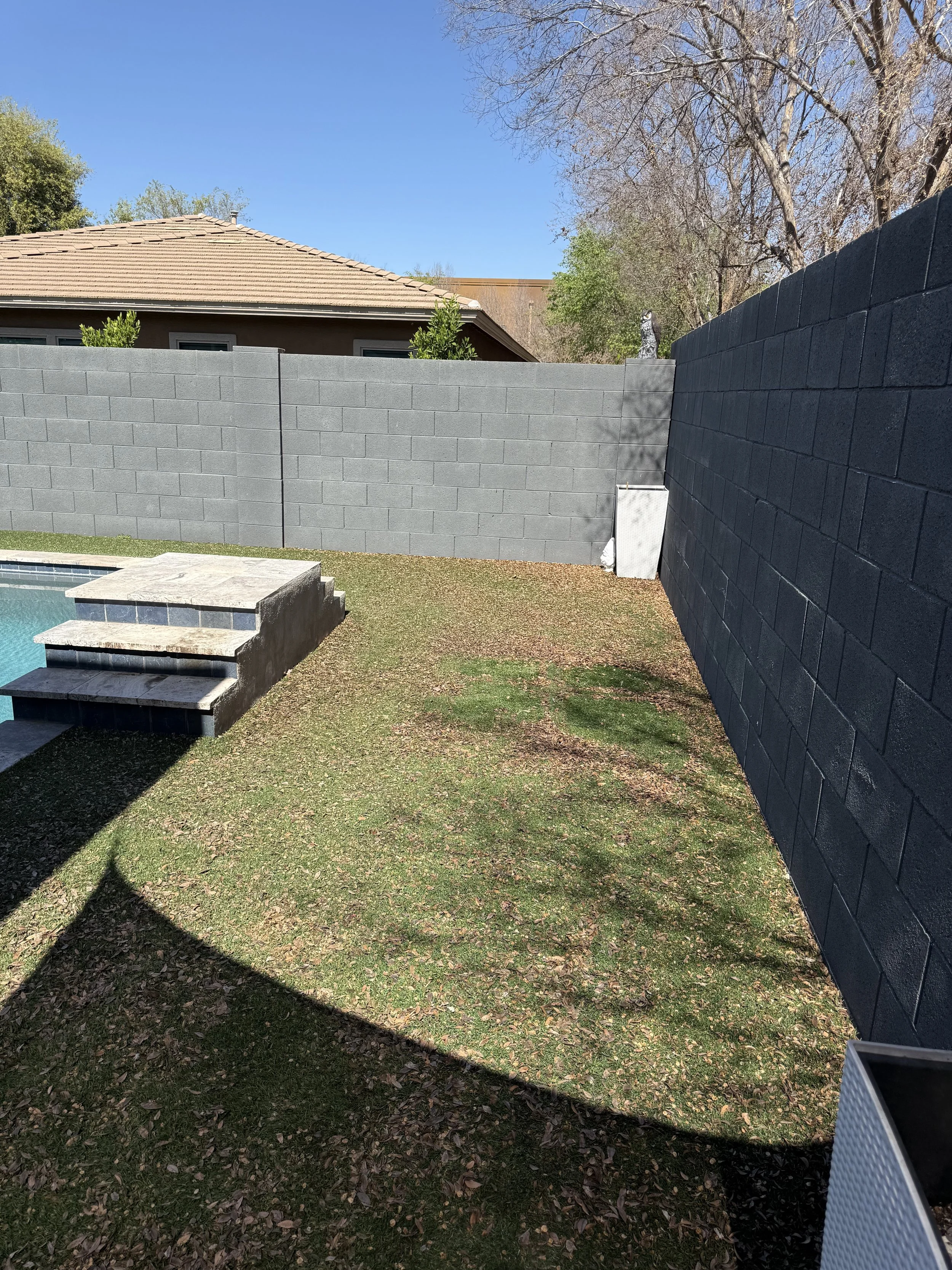 Kiwi Turf Cleaners, Clean turf, before and after, best turf cleaners in arizona, gilbert, scottsdale, fresh turf, odor removal, fluff, refluff, refresh, turf cleaning near me, tempe, mesa, affordable, best, five star, highly rated. 