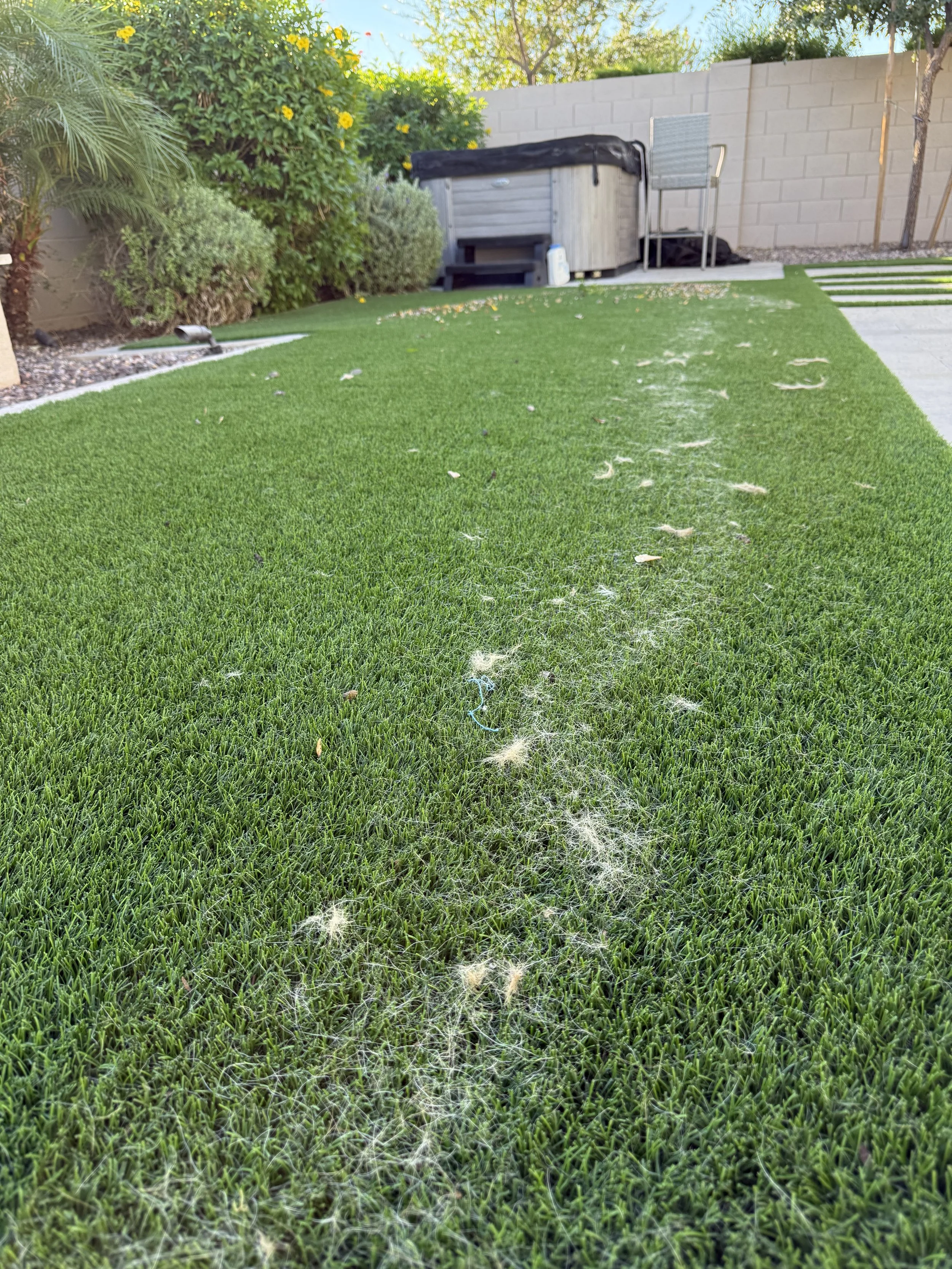 A backyard with artificial green grass, some scattered pet fur, and a small patch of clear concrete. Background includes shrubs, a brick wall, a hot tub covered with a black cover, and a patio chair.
