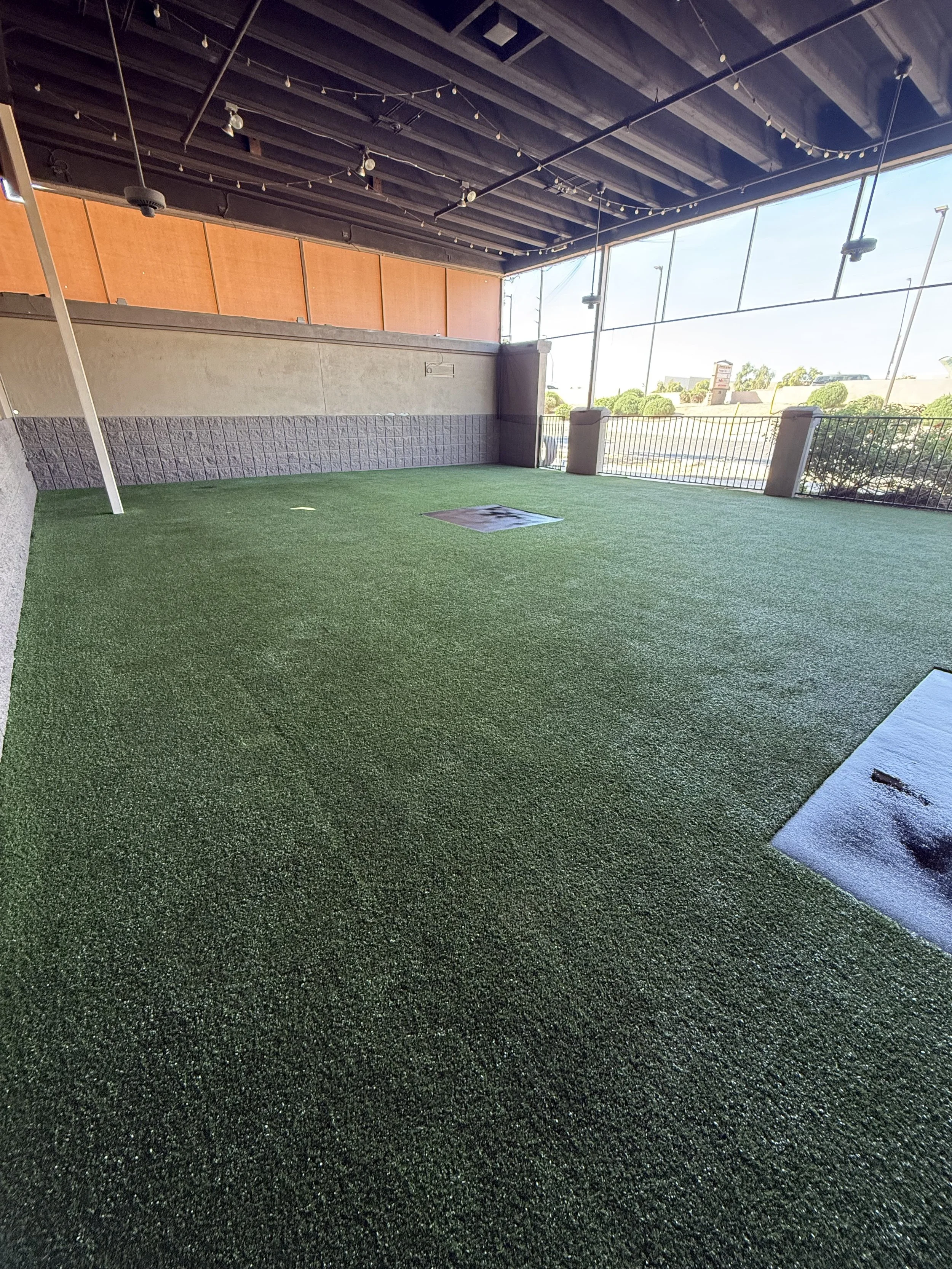 Kiwi Turf Cleaners, Clean turf, before and after, best turf cleaners in arizona, gilbert, scottsdale, fresh turf, odor removal, fluff, refluff, refresh, turf cleaning near me, tempe, mesa, affordable, best, five star, highly rated. 
