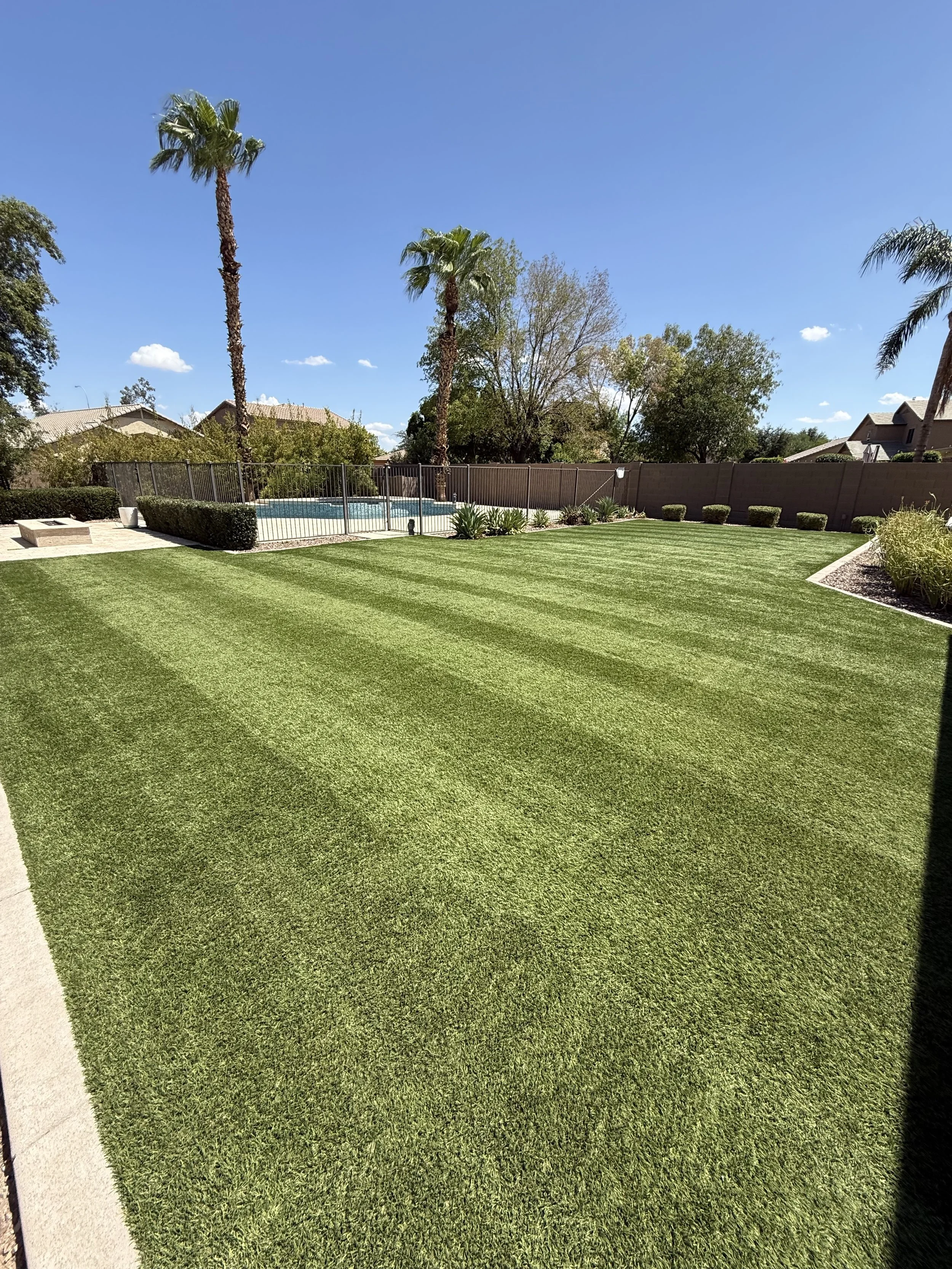 A backyard with a well-maintained lawn, a fenced swimming pool, tall palm trees, bushes, and a partly cloudy blue sky.