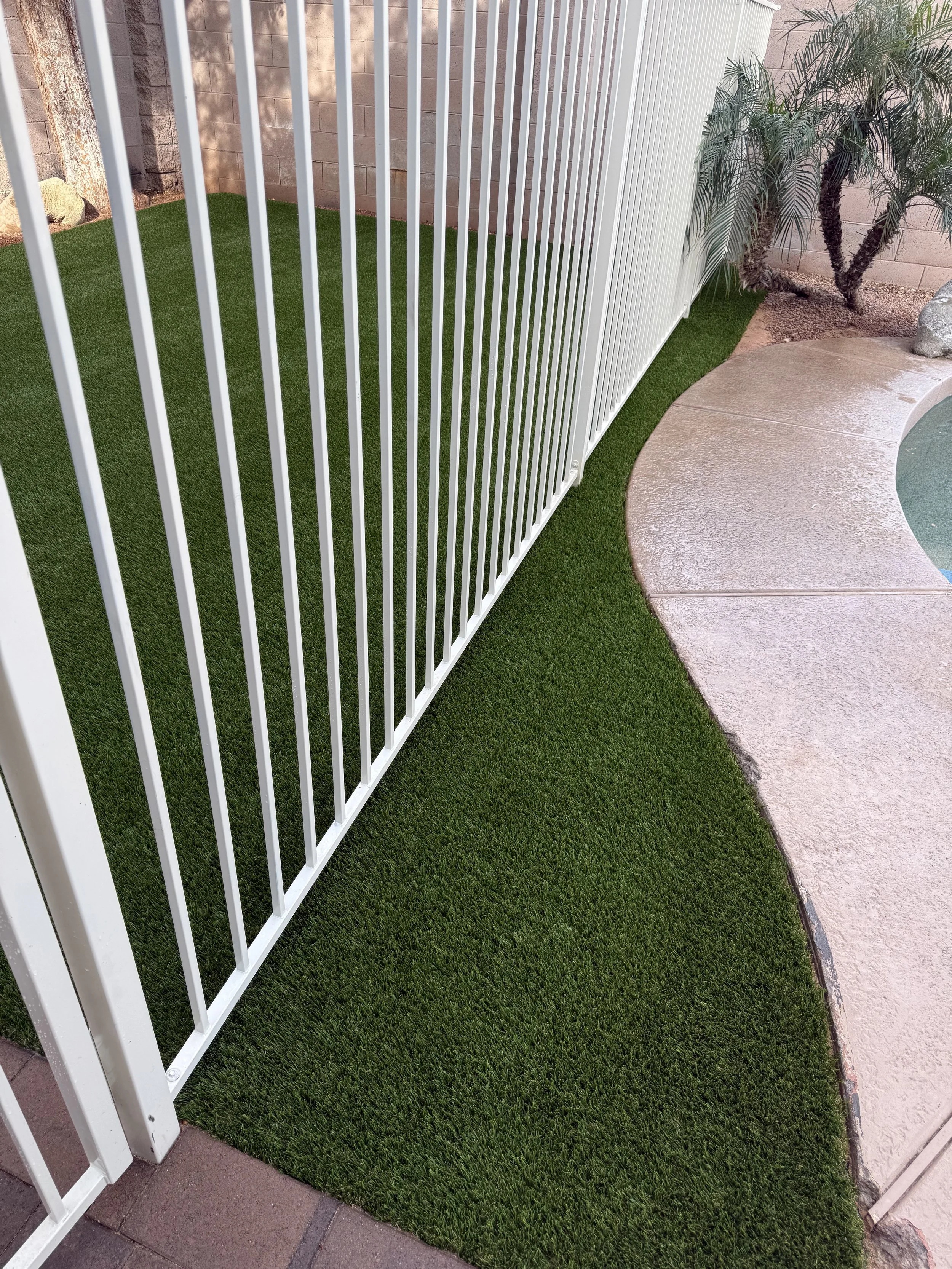 Kiwi Turf Cleaners, Clean turf, before and after, best turf cleaners in arizona, gilbert, scottsdale, fresh turf, odor removal, fluff, refluff, refresh, turf cleaning near me, tempe, mesa, affordable, best, five star, highly rated. 