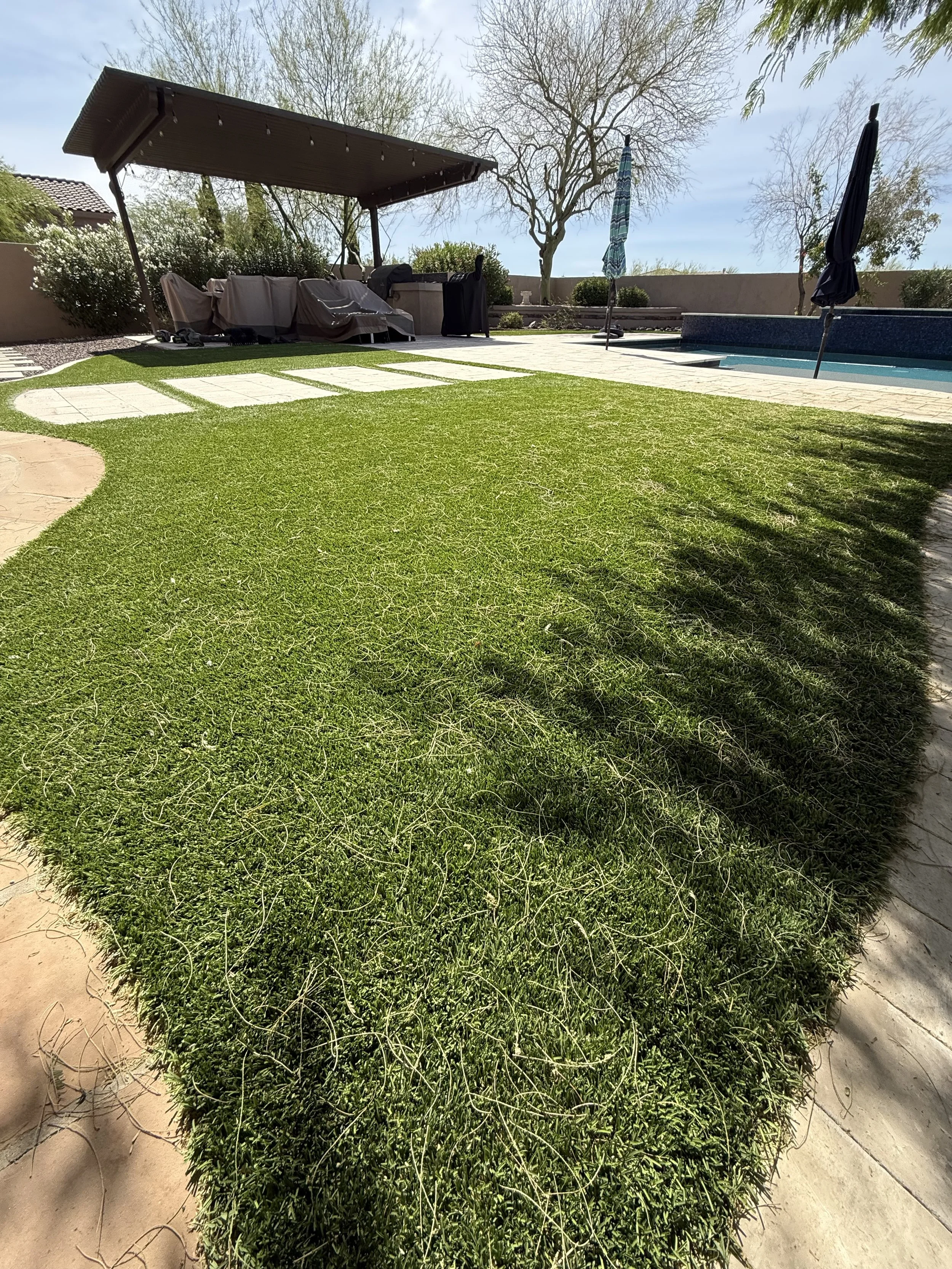A backyard with a grassy lawn, stone walkway, a covered patio with outdoor furniture, a swimming pool with umbrellas, and trees in the background.