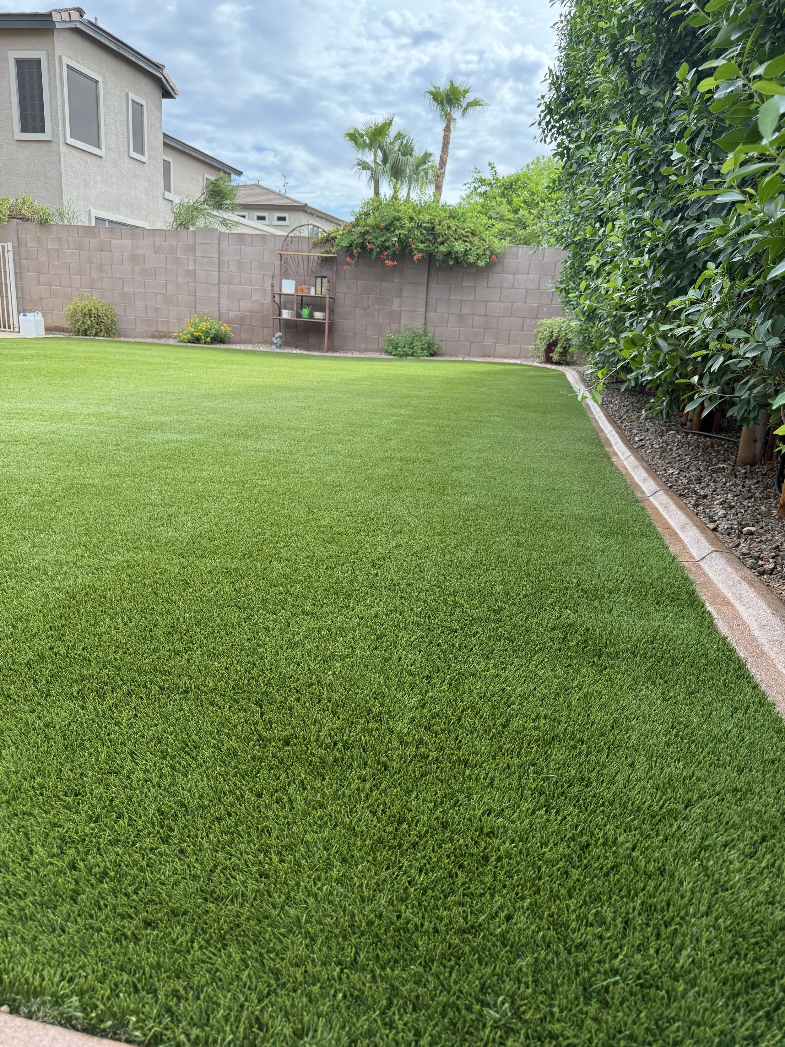 A well-maintained backyard with lush green grass, a brick border, a tall dark green hedge on the right, a brown spray-painted wall in the background with plants and decorations on shelf, and a house with multiple windows and a small patio on the left