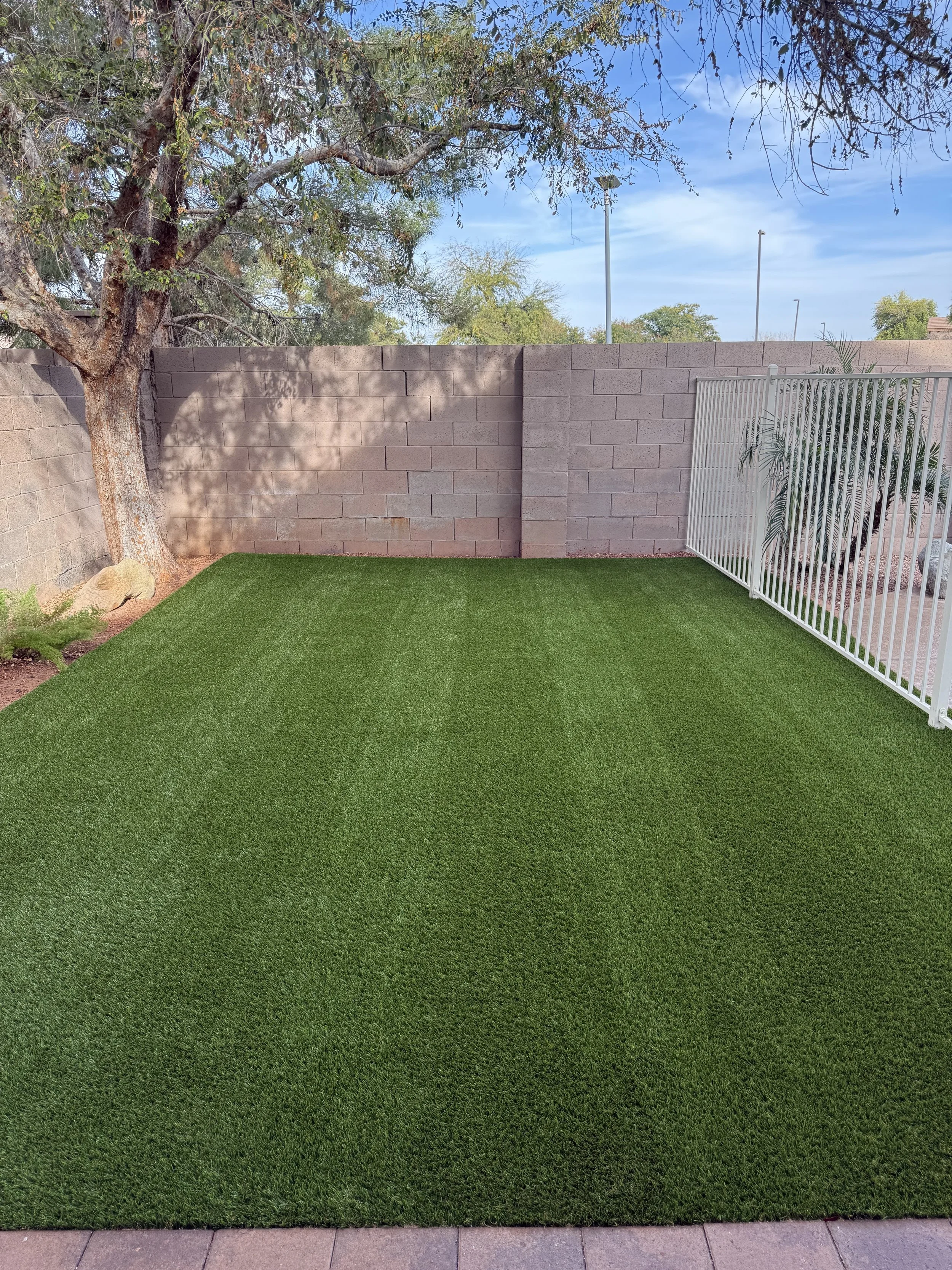 Kiwi Turf Cleaners, Clean turf, before and after, best turf cleaners in arizona, gilbert, scottsdale, fresh turf, odor removal, fluff, refluff, refresh, turf cleaning near me, tempe, mesa, affordable, best, five star, highly rated. 