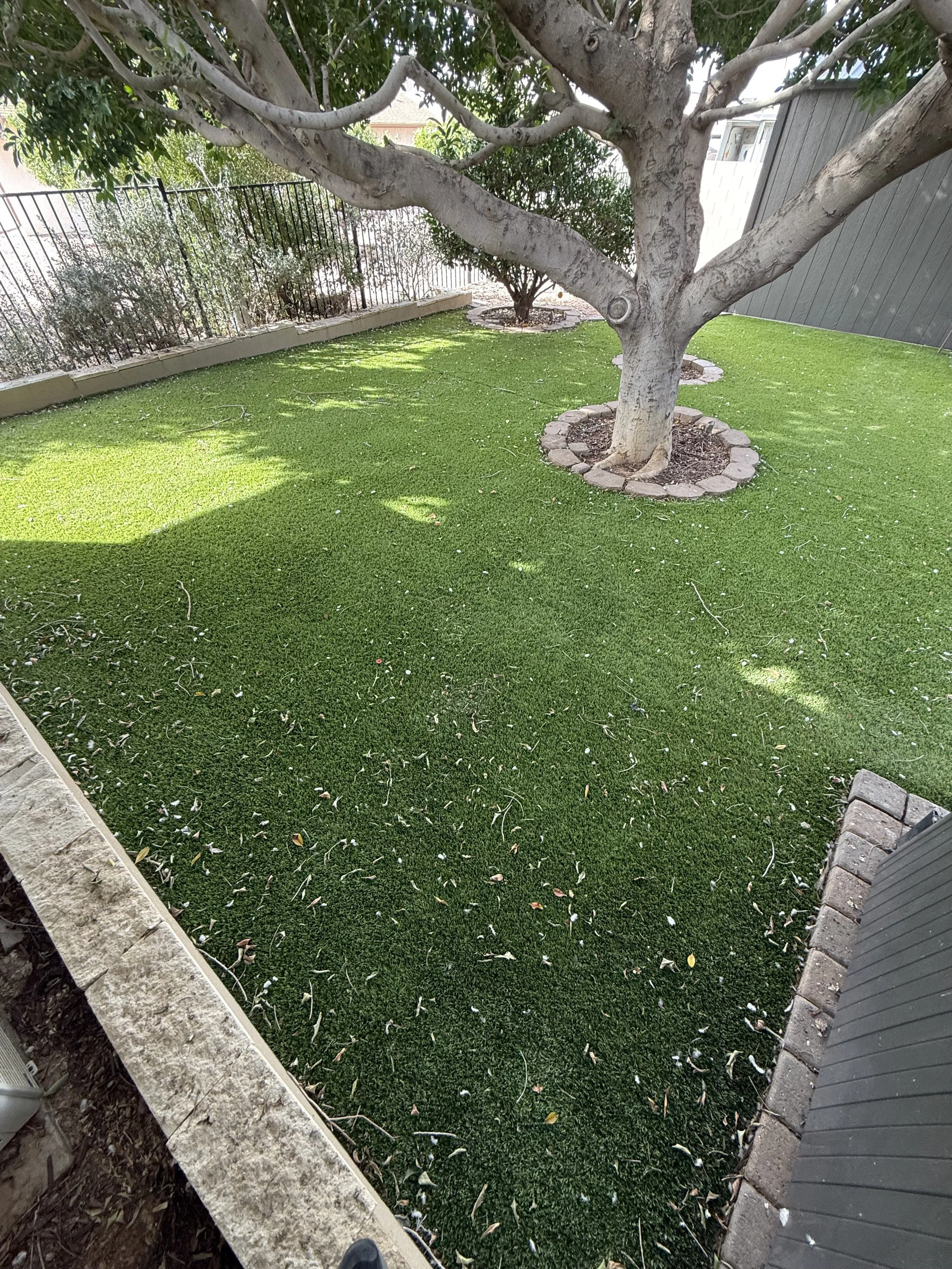 Kiwi Turf Cleaners, Clean turf, before and after, best turf cleaners in arizona, gilbert, scottsdale, fresh turf, odor removal, fluff, refluff, refresh, turf cleaning near me, tempe, mesa, affordable, best, five star, highly rated. 