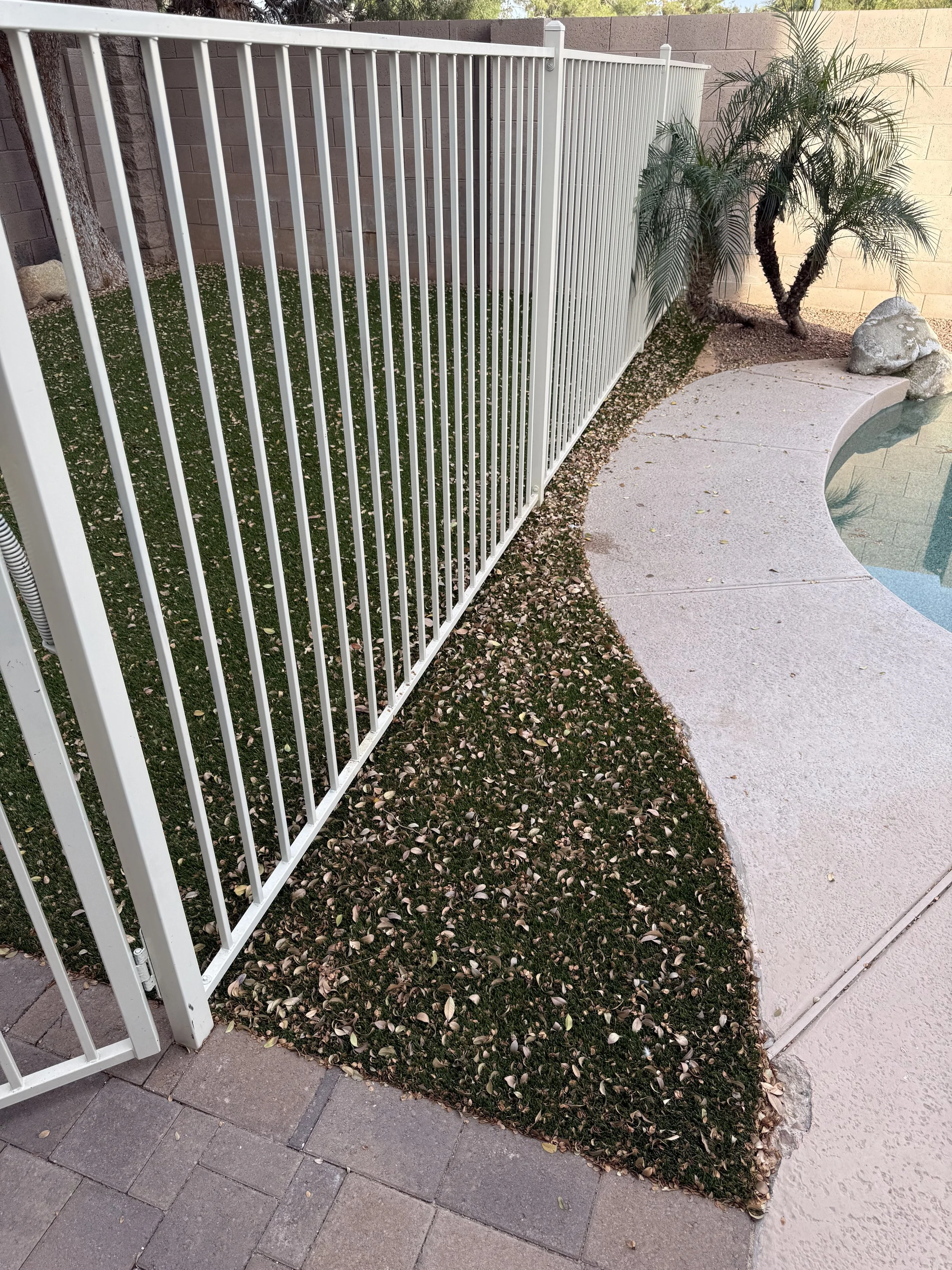 Kiwi Turf Cleaners, Clean turf, before and after, best turf cleaners in arizona, gilbert, scottsdale, fresh turf, odor removal, fluff, refluff, refresh, turf cleaning near me, tempe, mesa, affordable, best, five star, highly rated. 