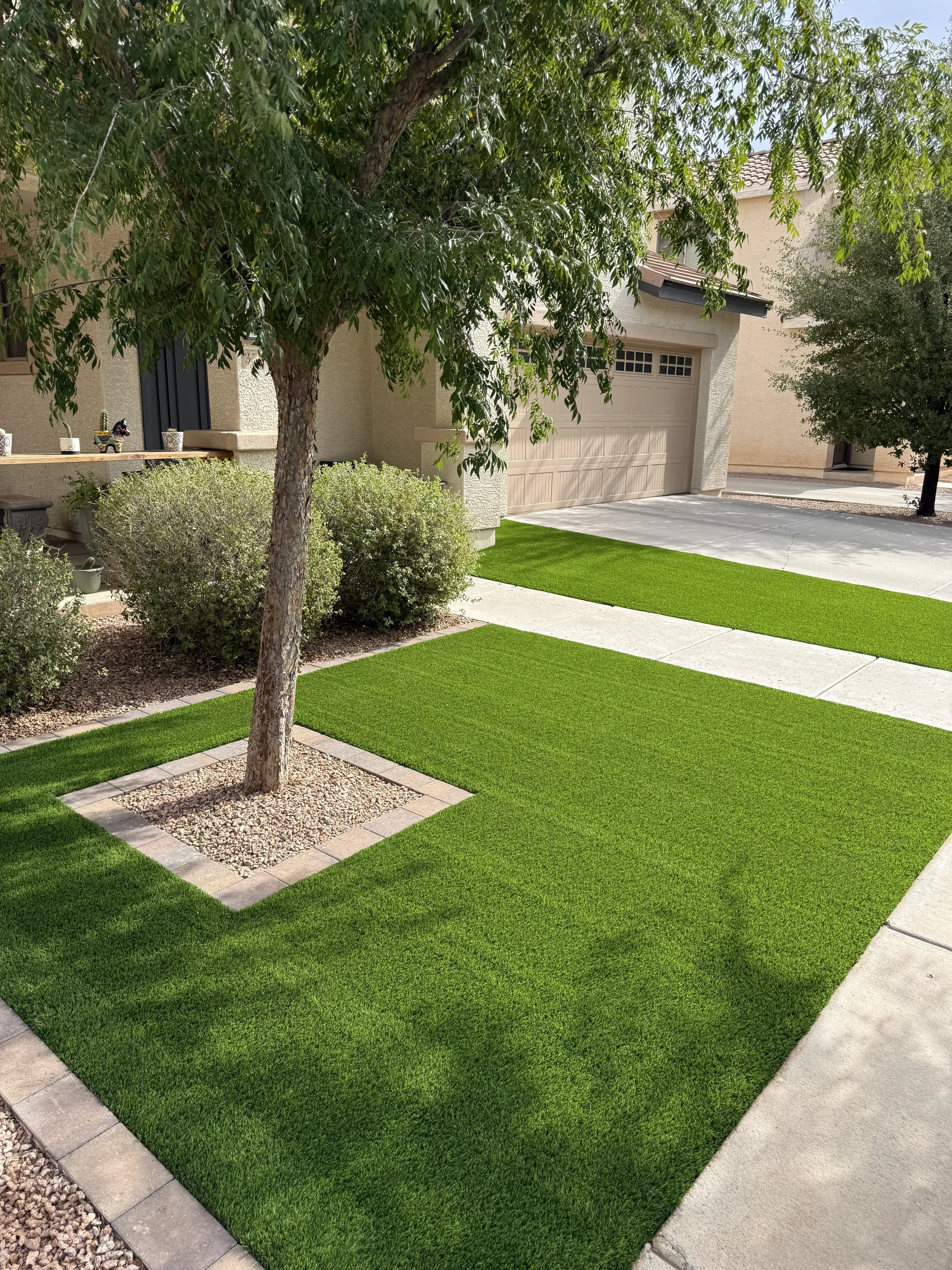 Freshly landscaped front yard with green grass patches separated by concrete walkway, a tree with lush green foliage and decorative stone border, and a beige house with a garage in the background.