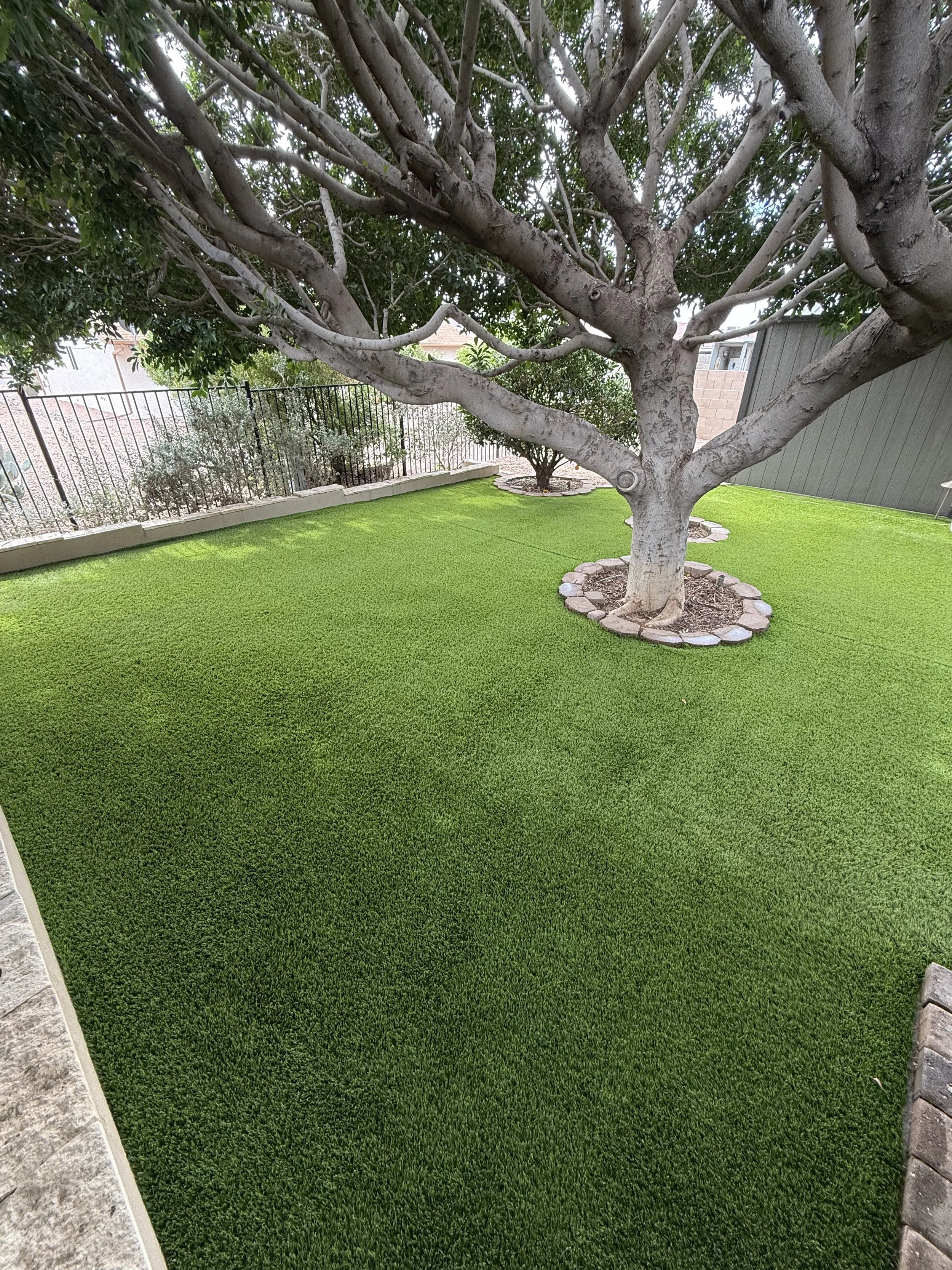 Kiwi Turf Cleaners, Clean turf, before and after, best turf cleaners in arizona, gilbert, scottsdale, fresh turf, odor removal, fluff, refluff, refresh, turf cleaning near me, tempe, mesa, affordable, best, five star, highly rated. 