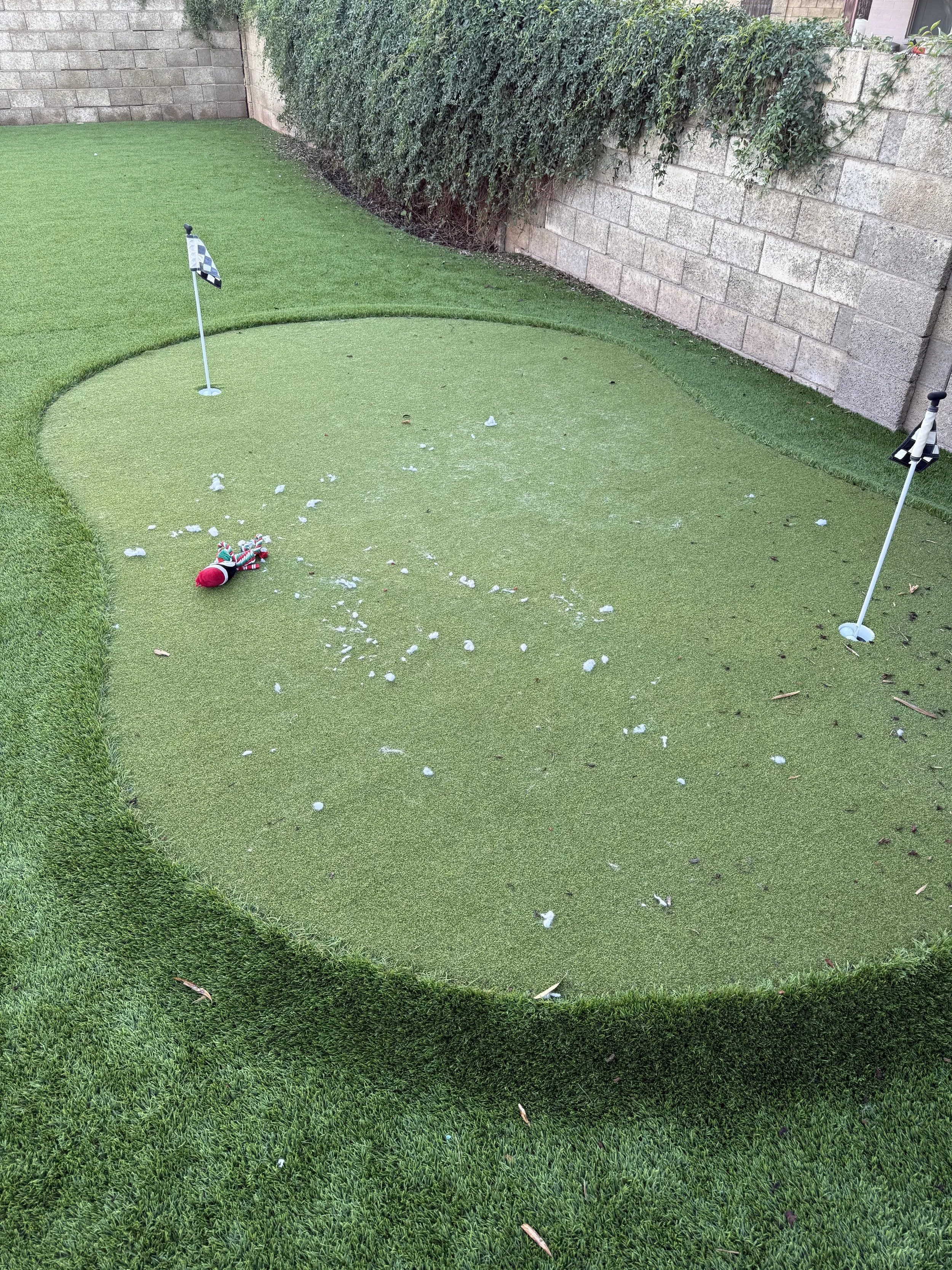 Kiwi Turf Cleaners, Clean turf, before and after, best turf cleaners in arizona, gilbert, scottsdale, fresh turf, odor removal, fluff, refluff, refresh, turf cleaning near me, tempe, mesa, affordable, best, five star, highly rated. 