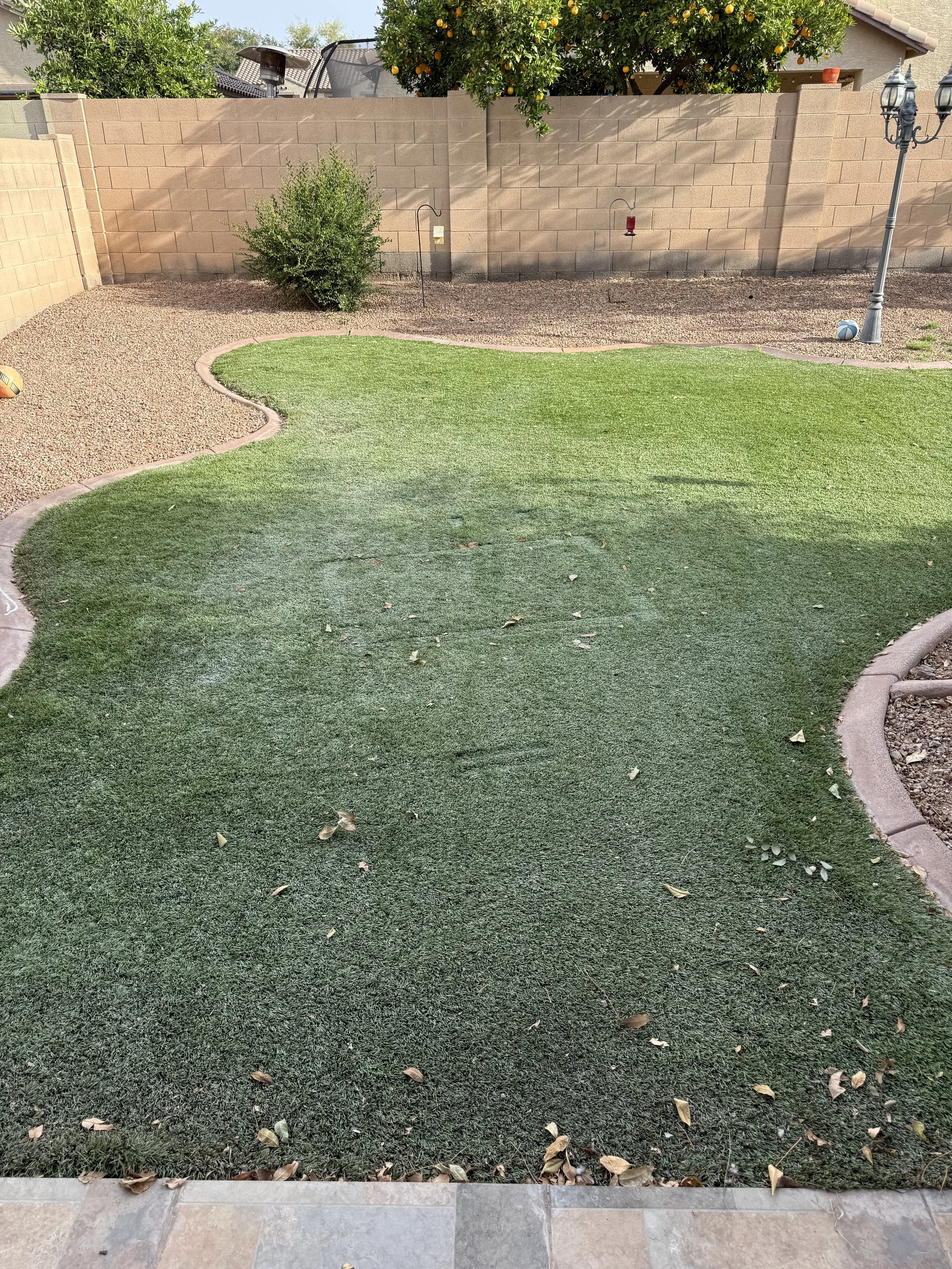 A backyard with a small patch of green grass, surrounded by a border of bricks. Behind the grass is a gravel area with a bush shrub and several hills of dirt and gravel. There is a beige brick wall at the back, with two bird feeders hanging from hook