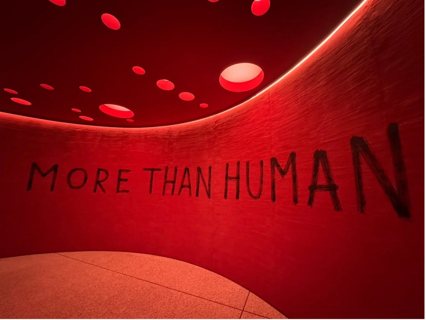 More Than Human at the Design Museum