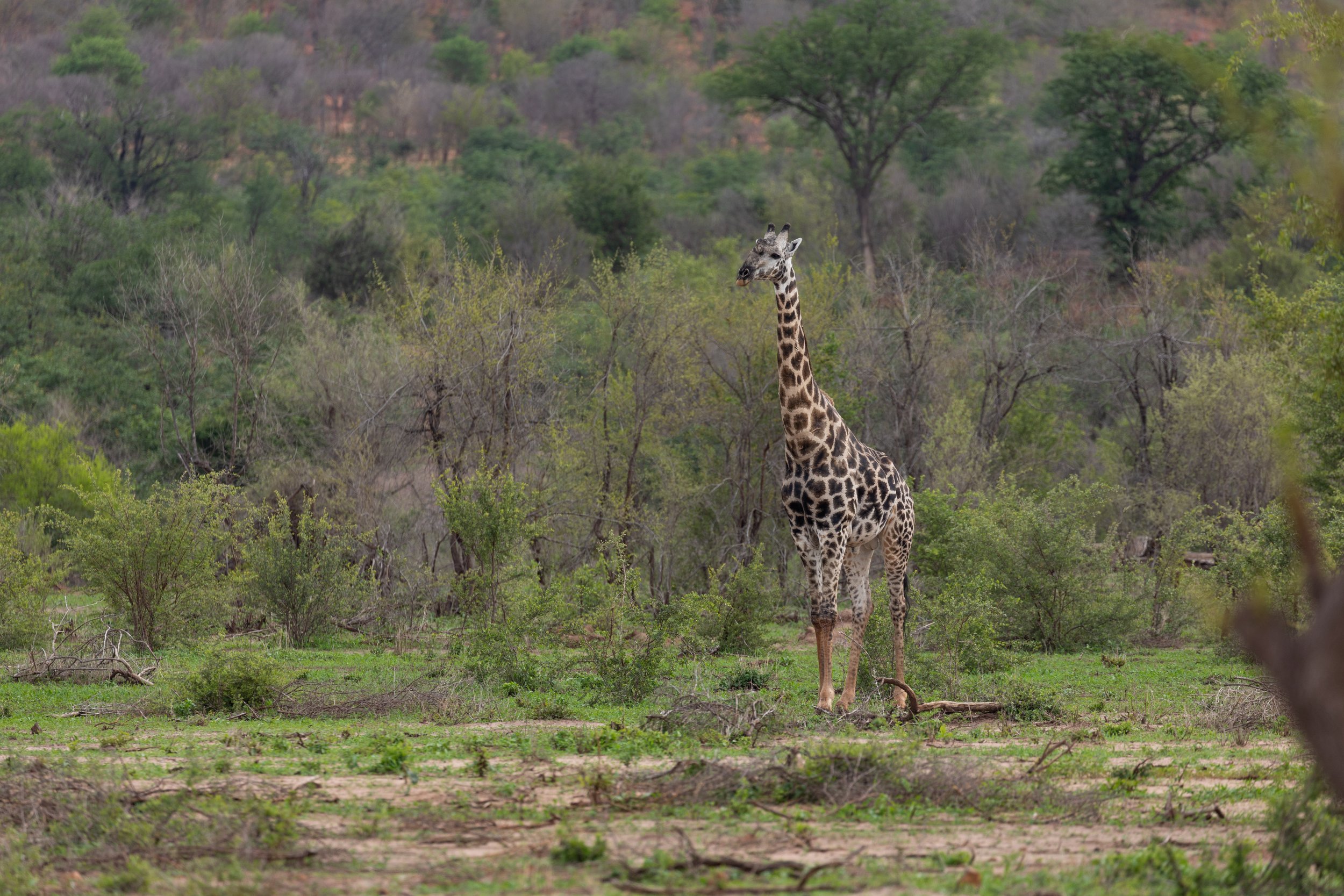 20250113-Zimbabwe day 6-15.jpg