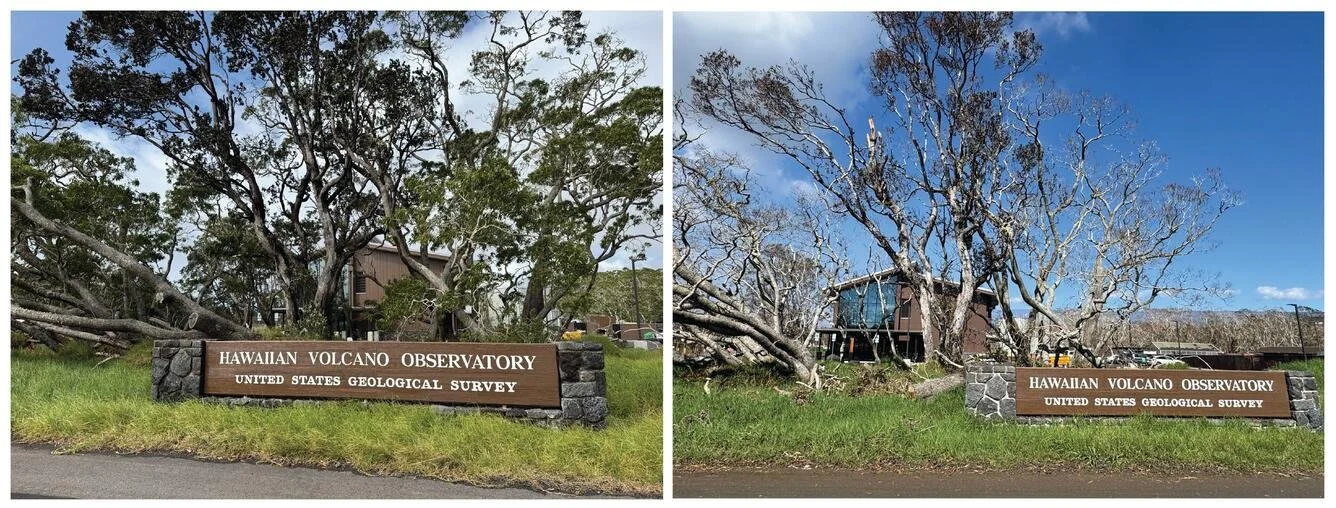  “Stick Season” in Hawaii? What Happened to the Leaves around Kīlauea Summit? — USGS Volcano Watch 