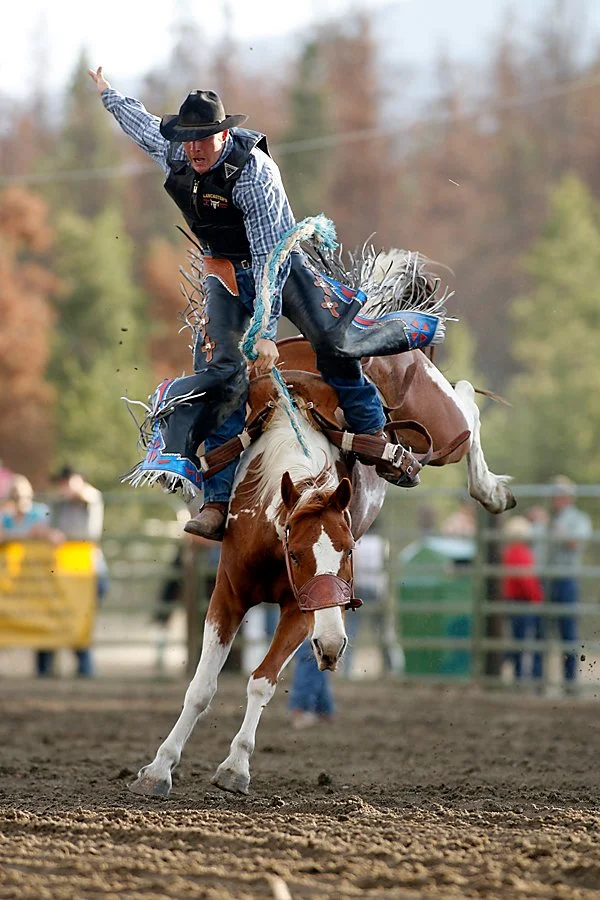 Gallery — High Country Stampede Rodeo