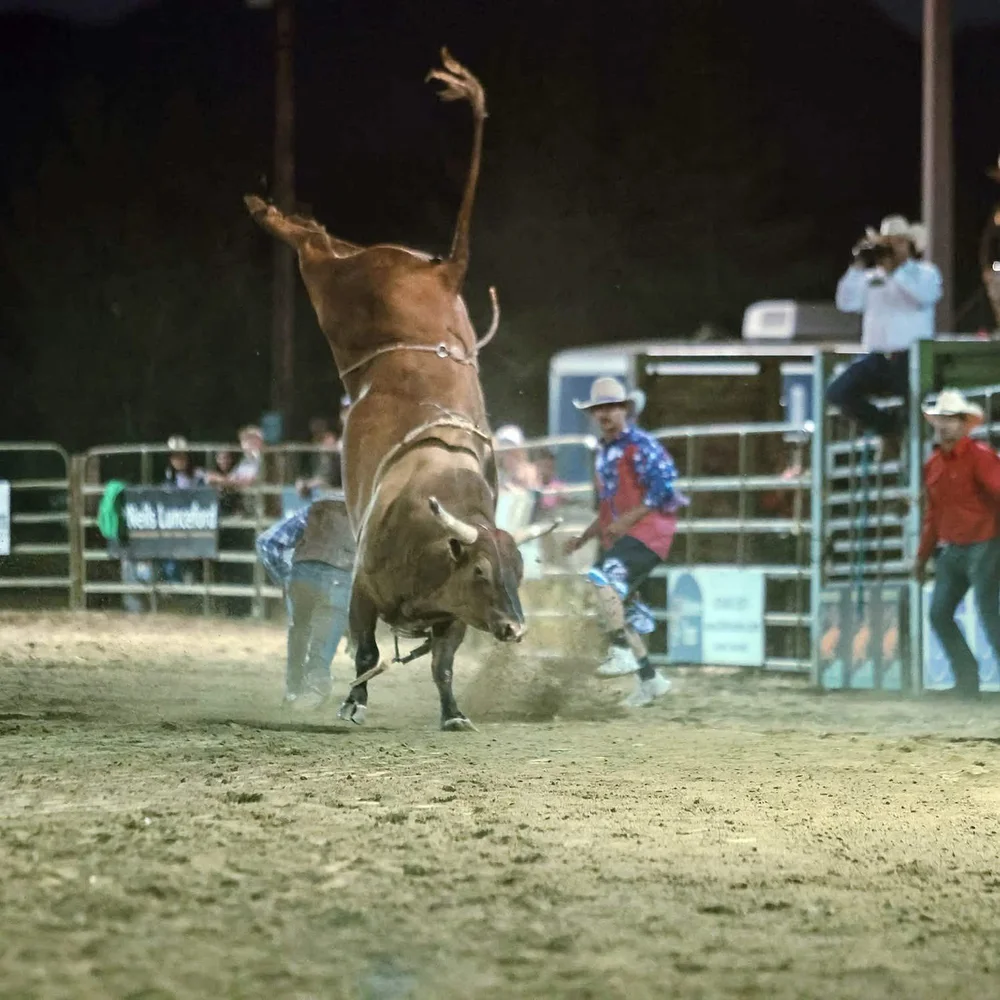 Jc Hawk Rodeo High Country Stampede Rodeo