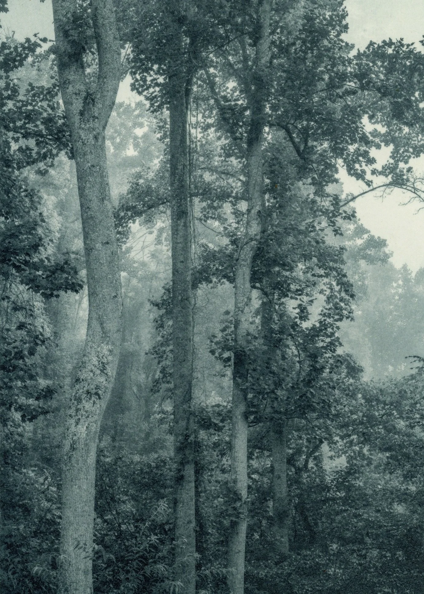 240723-173517.jpg