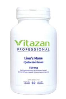 Lion’s Mane