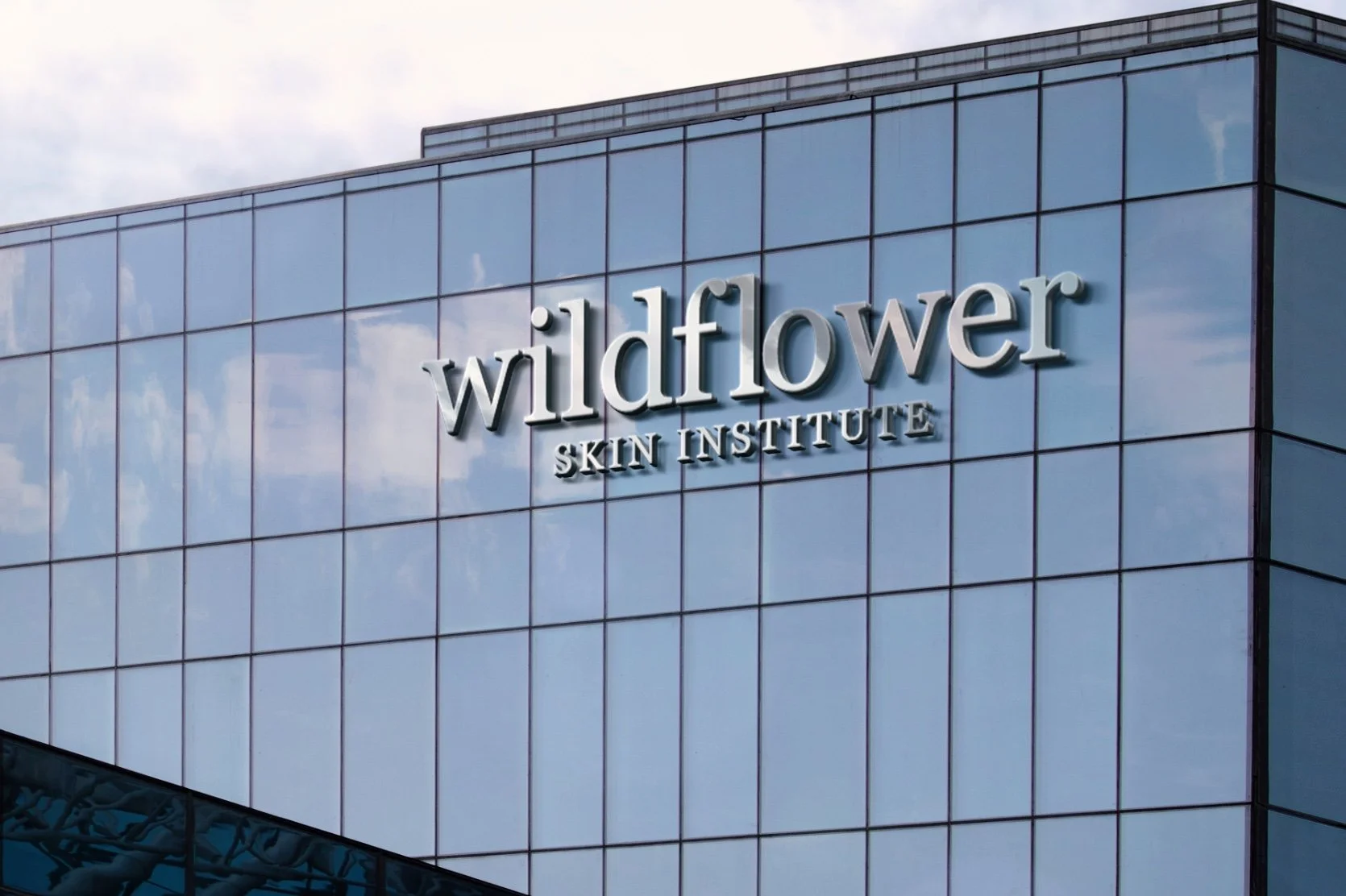 Image 10-11-23 at 3.15 PM.JPG