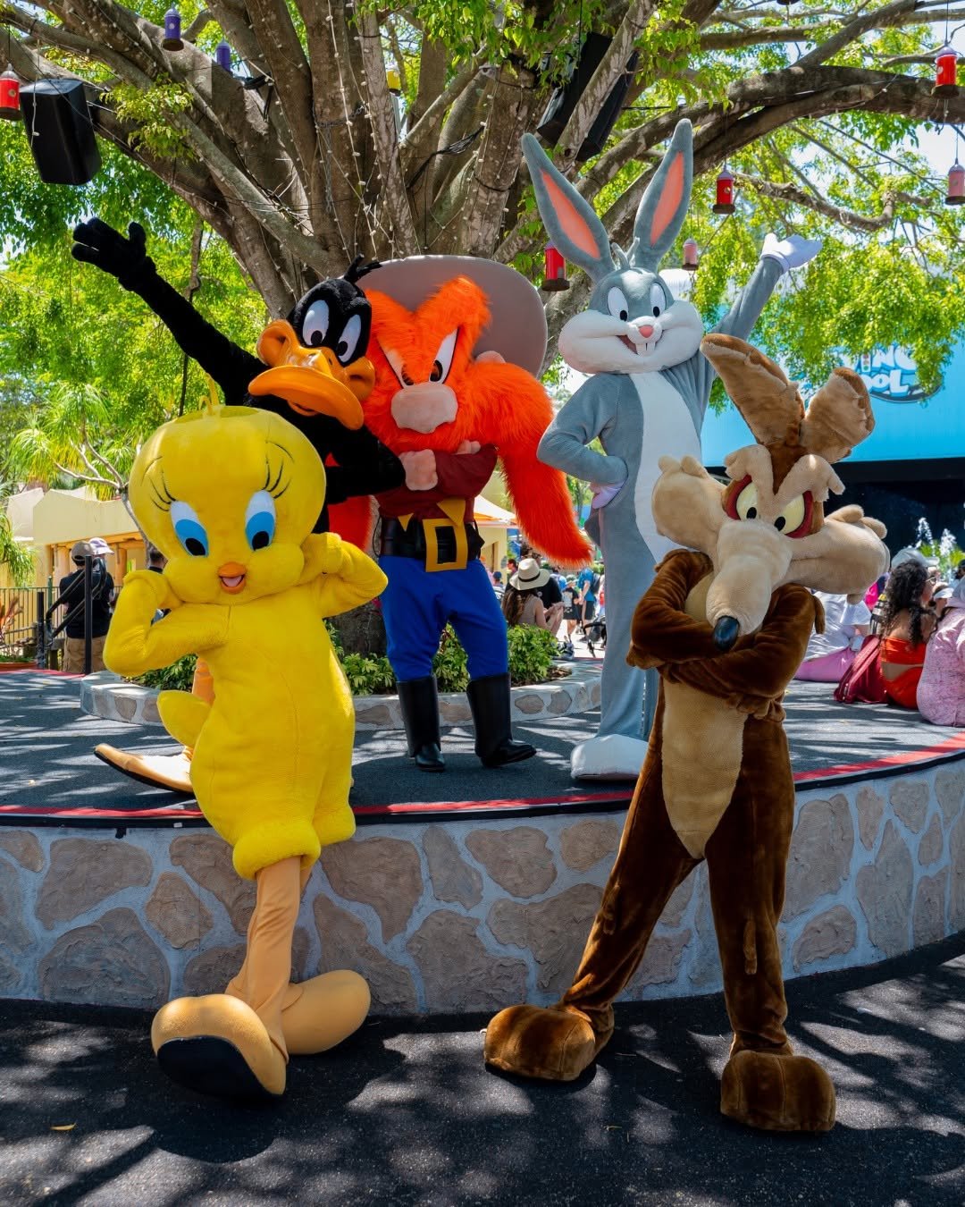 Looney Tunes Meet &amp; Greet