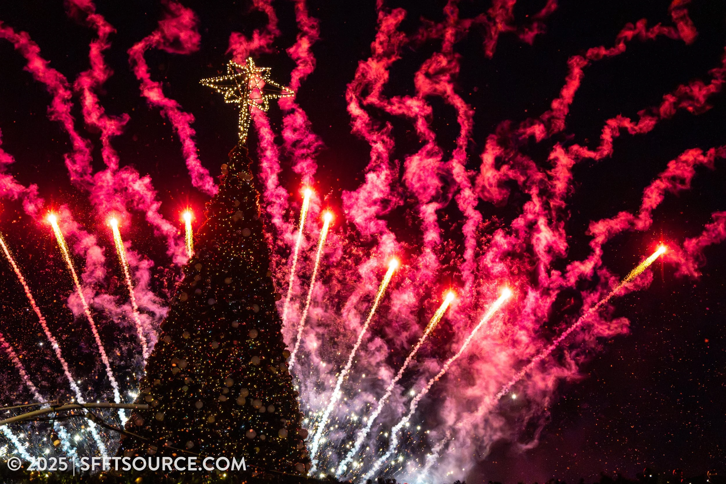 Christmas Tree Lighting