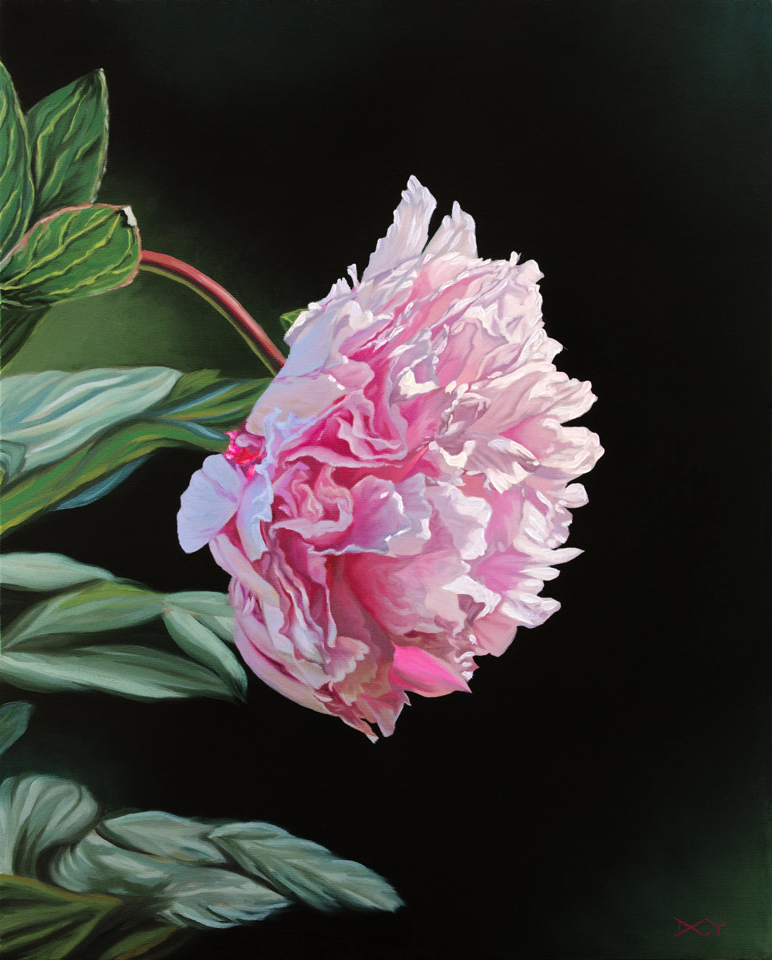 RIO'S PEONY
