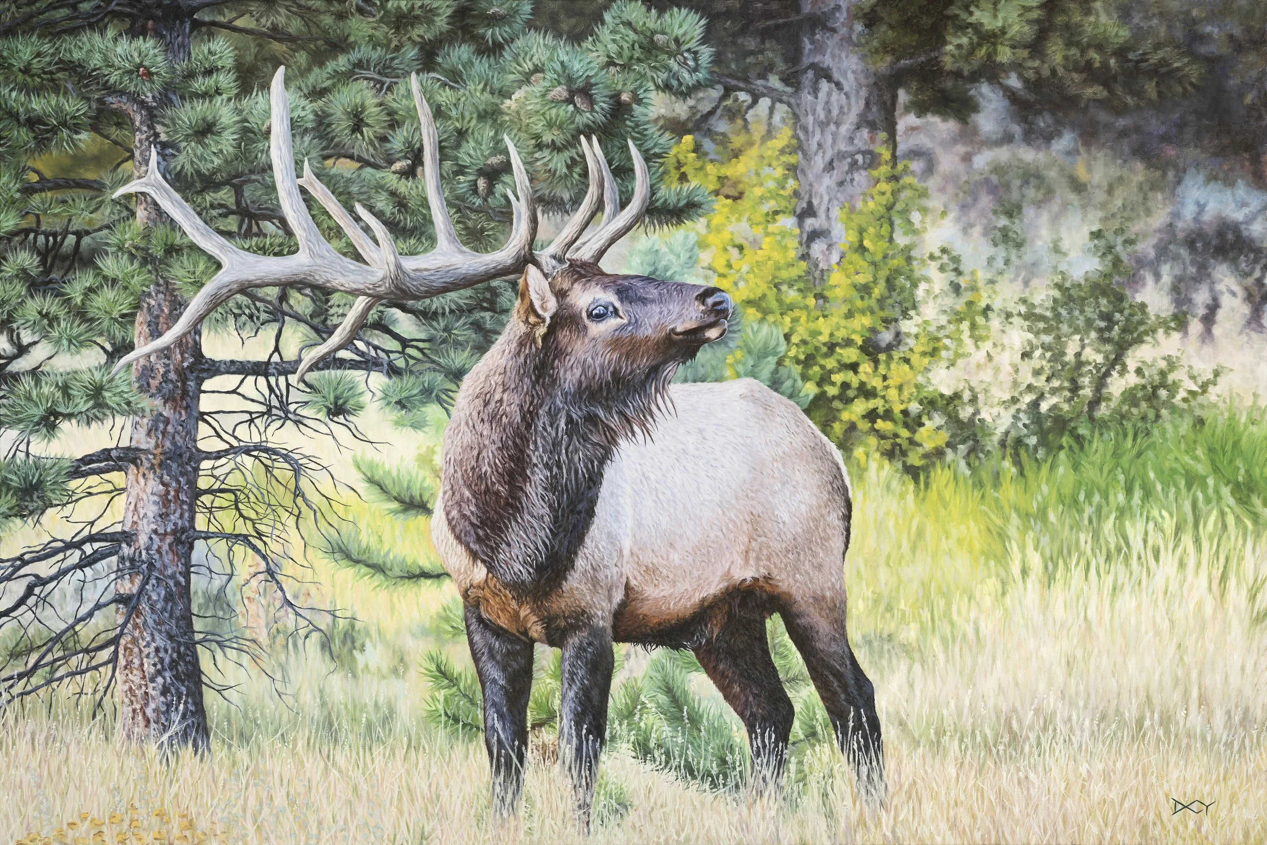 ELK - Paper Print